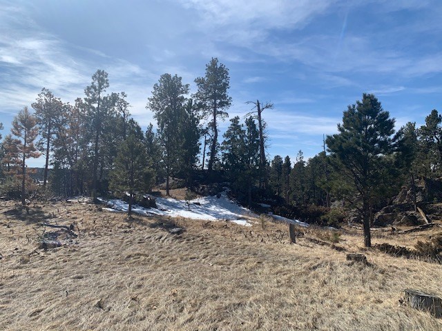 TBD Buckhorn Estates Drive