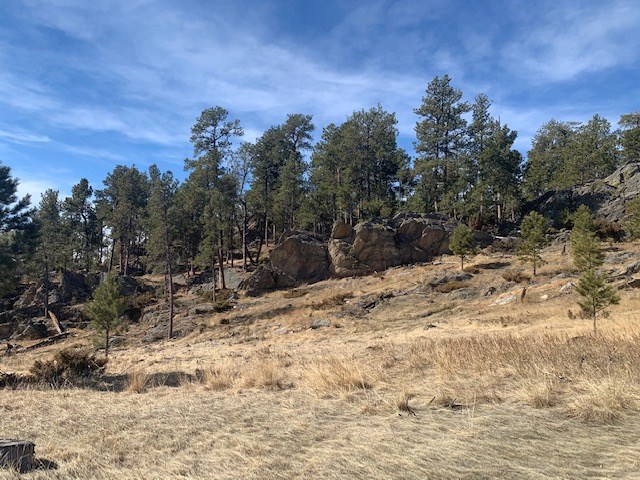 TBD Buckhorn Estates Drive