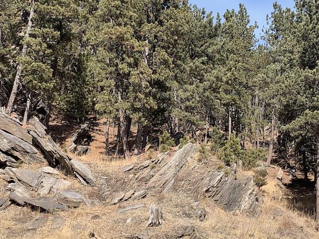 TBD Buckhorn Estates Drive