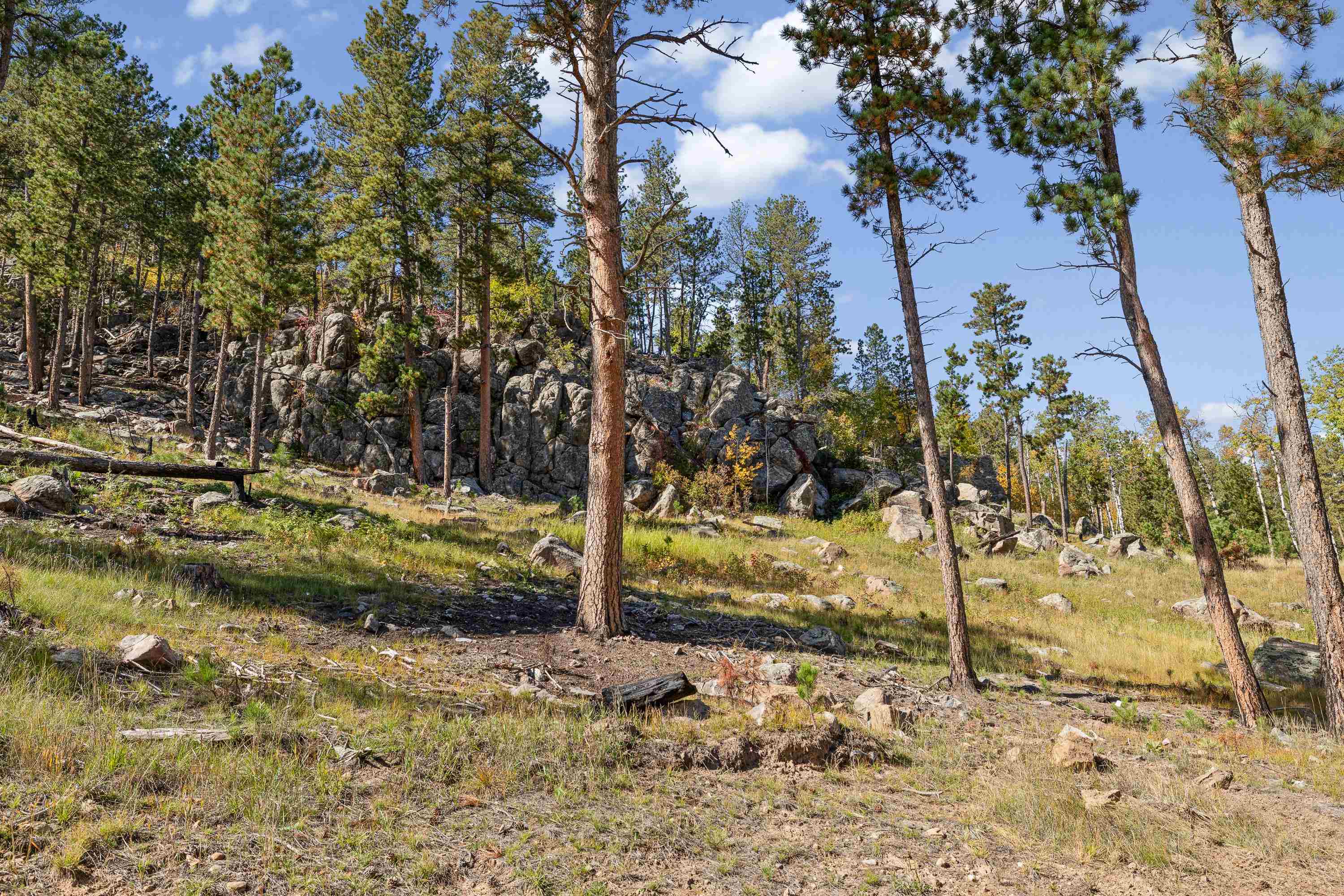 25161 Lower French Creek Road