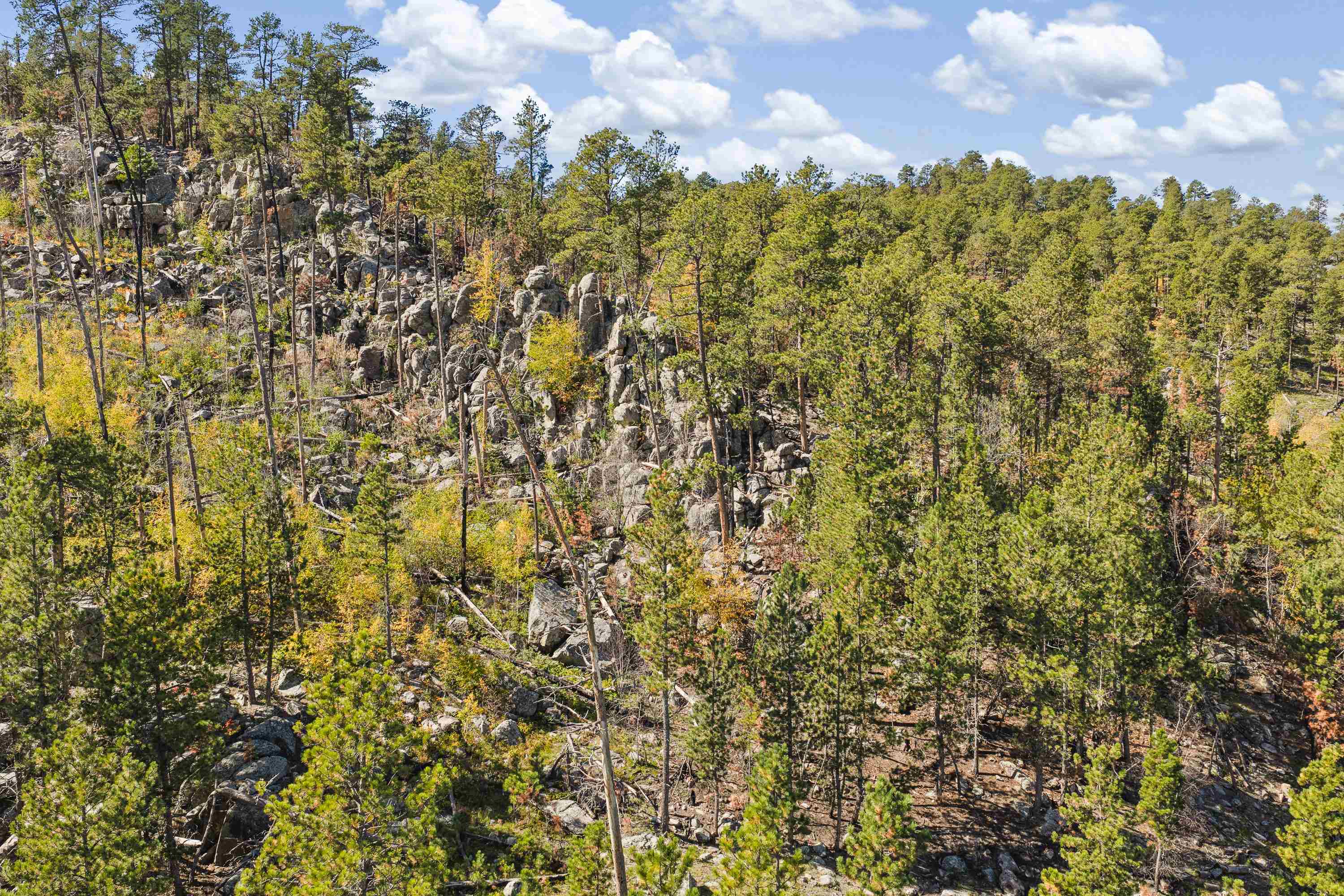 25161 Lower French Creek Road
