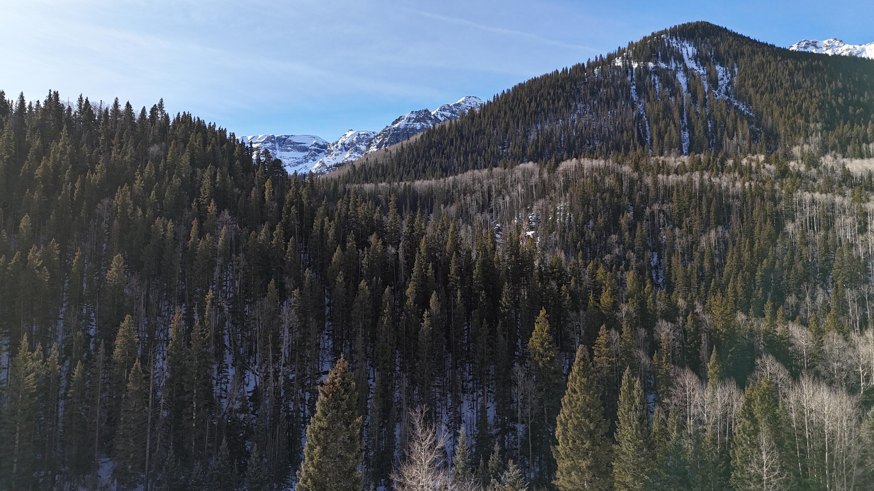 212 Granite Ave Avenue