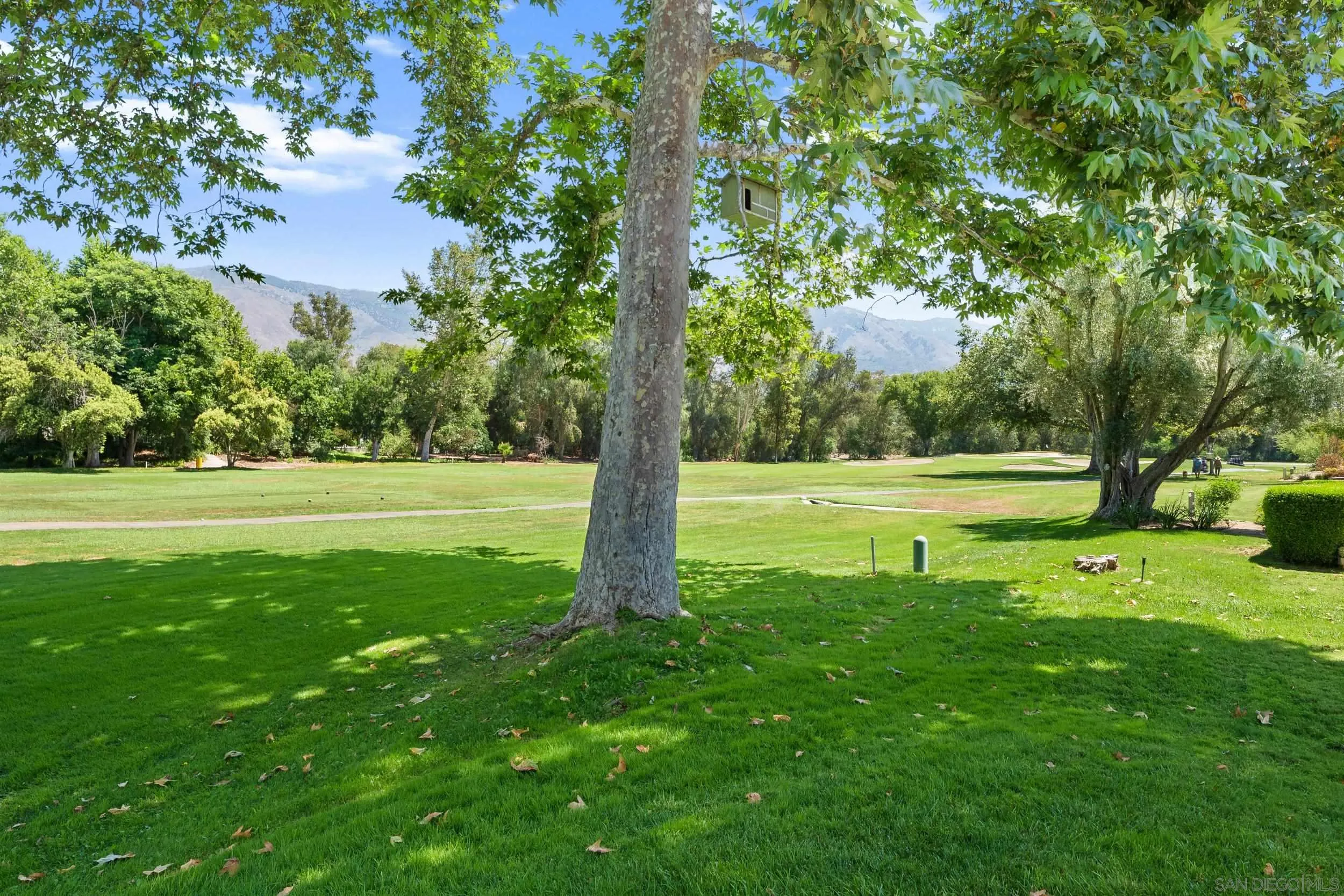 32676 Taspa Ct