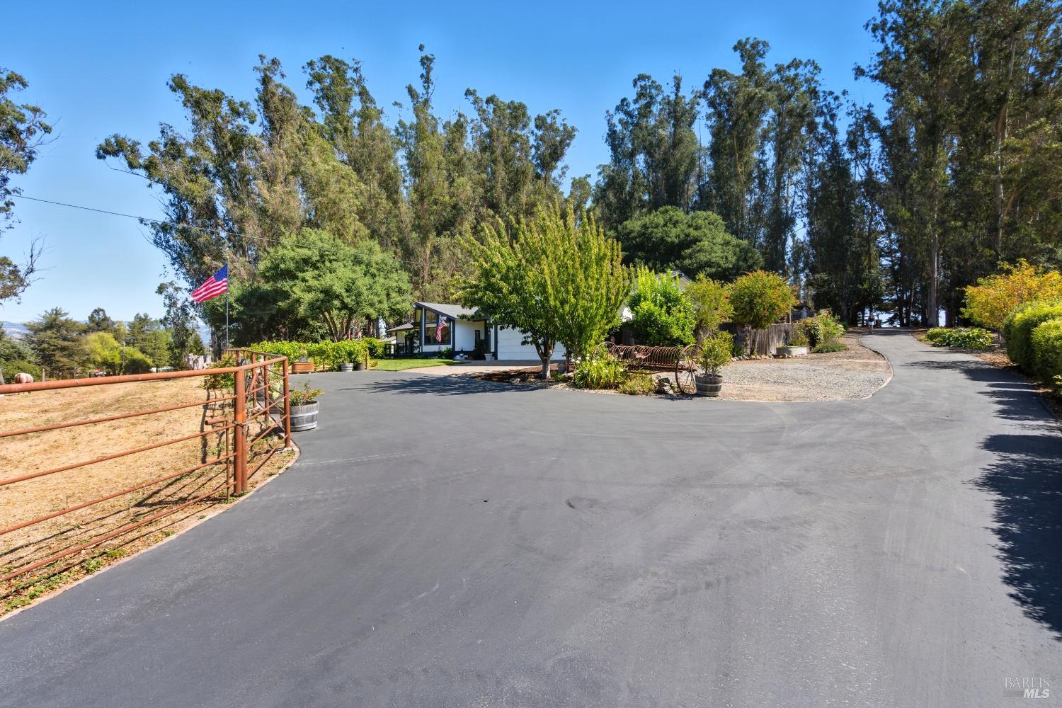 296 Eucalyptus Ave