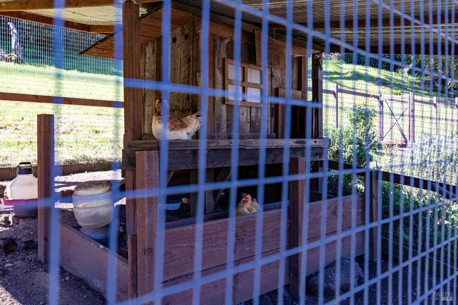 433 San Geronimo Valley Drive