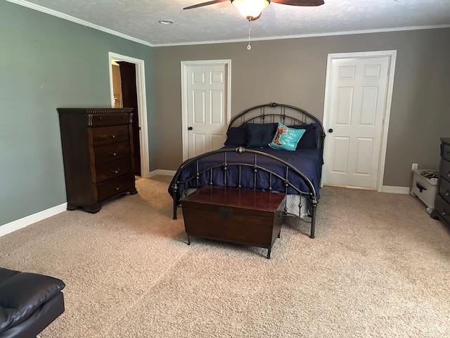585 GB PLUNK RD