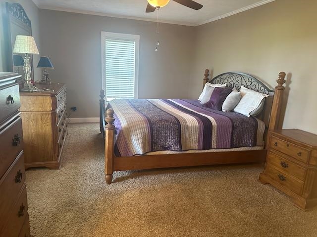 585 GB PLUNK RD