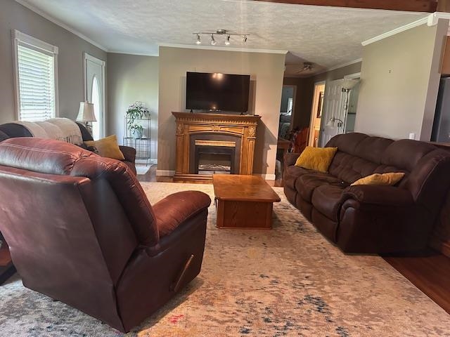 585 GB PLUNK RD