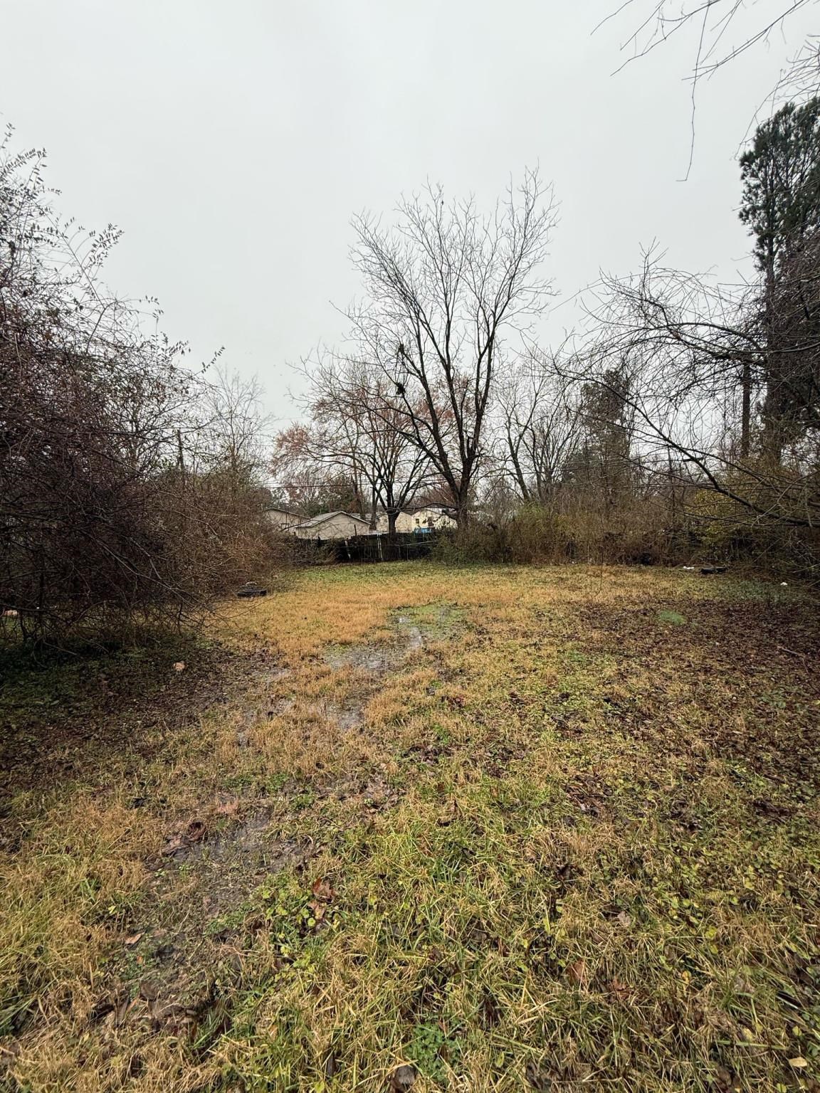 2569 SUNNY HILL DR