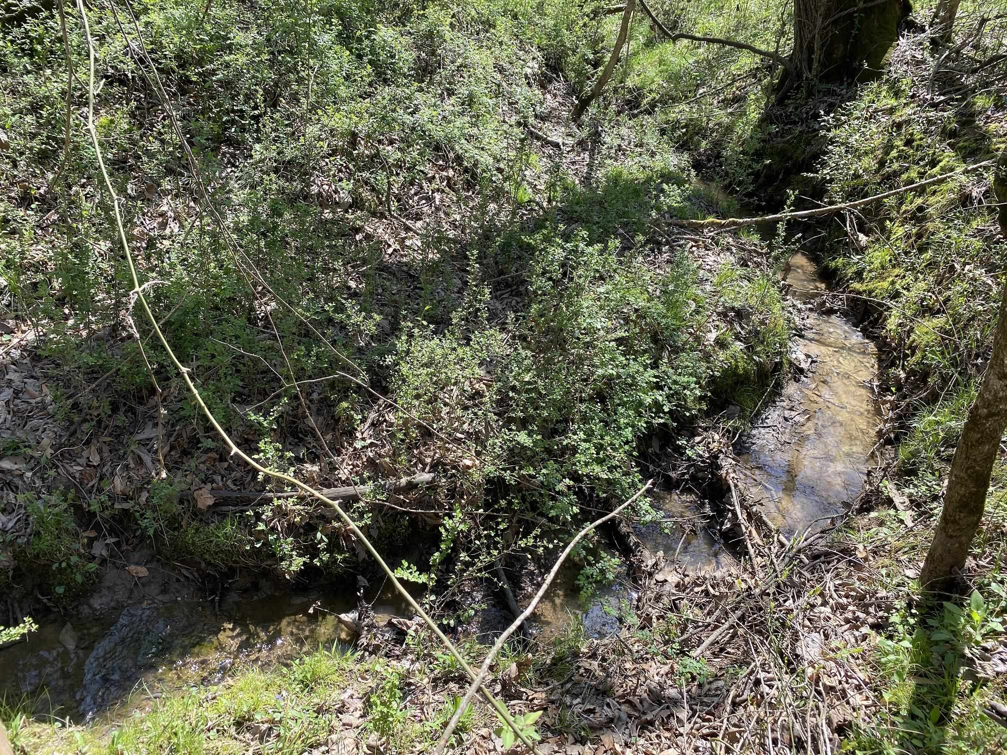 11445 64 HWY