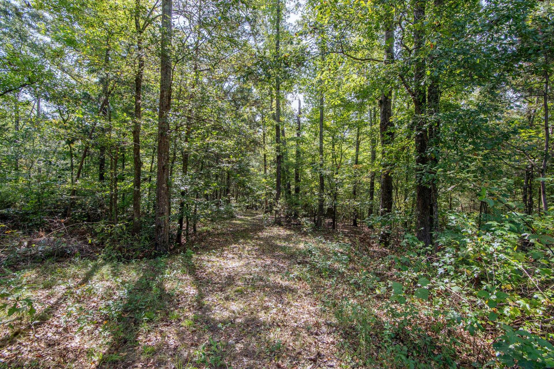 185 MAYFIELD LN