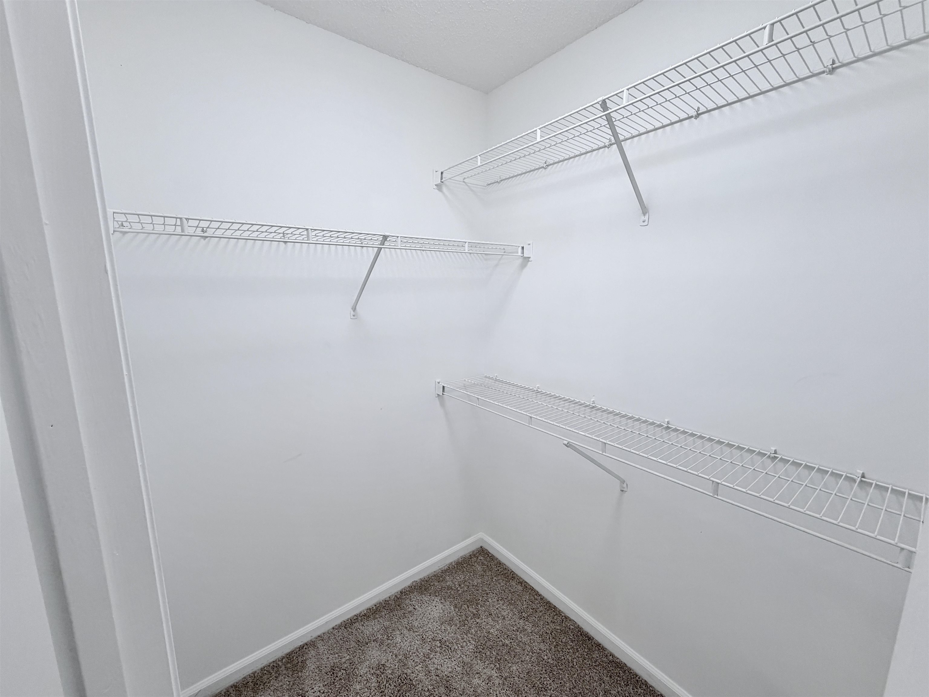 2569 VAN EATON LN