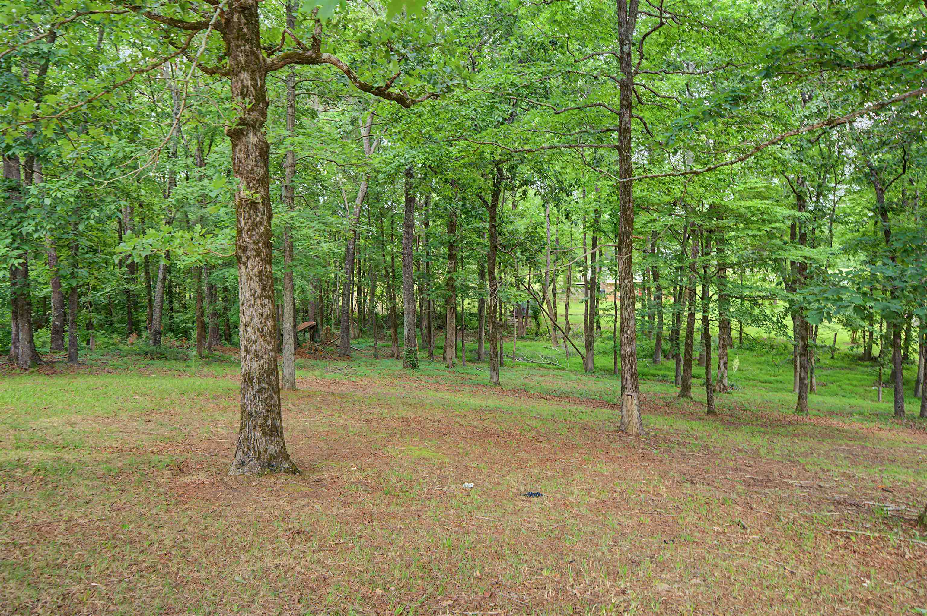 436 SKYLINE DR