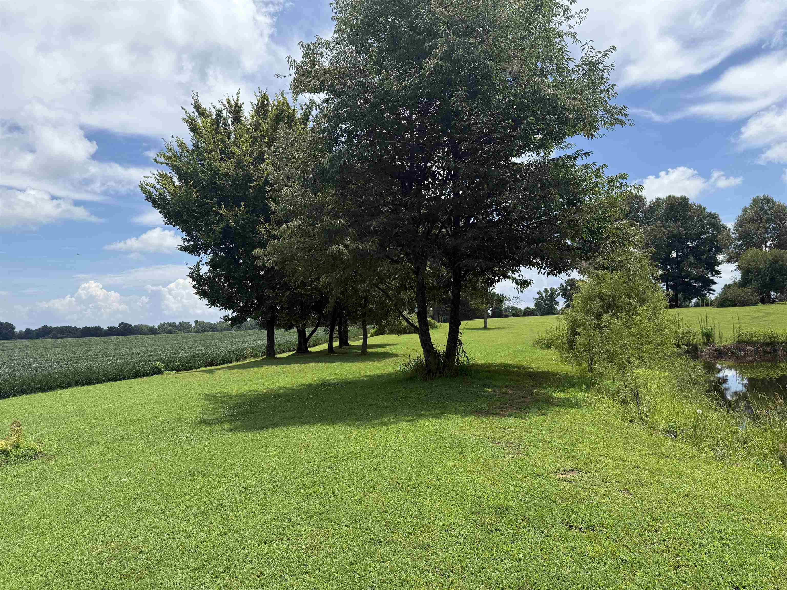2201 ROBERT JOHNSON RD