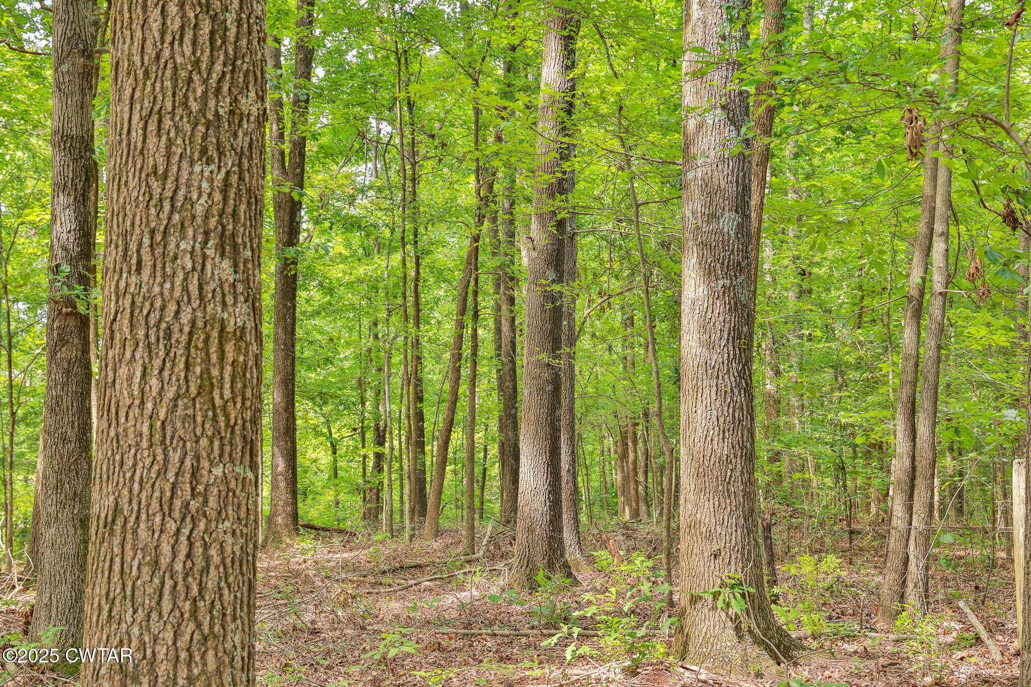 265 Lebanon Church Road