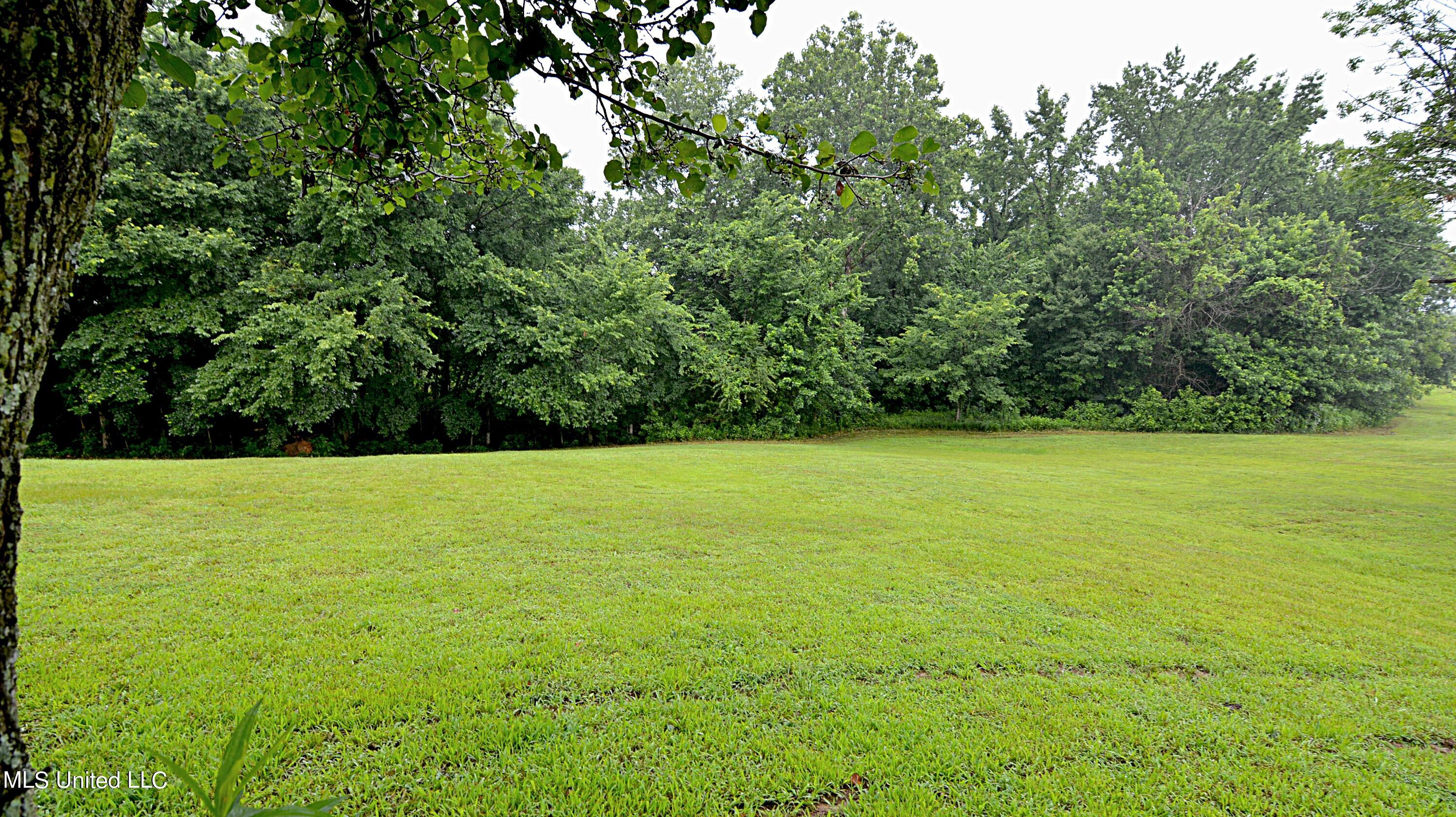 421 Cherry Tree Lane