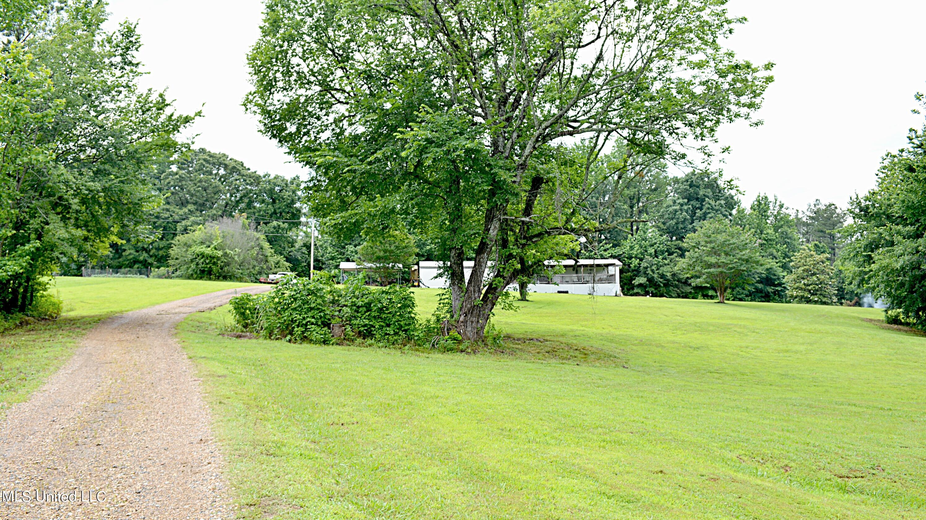 421 Cherry Tree Lane