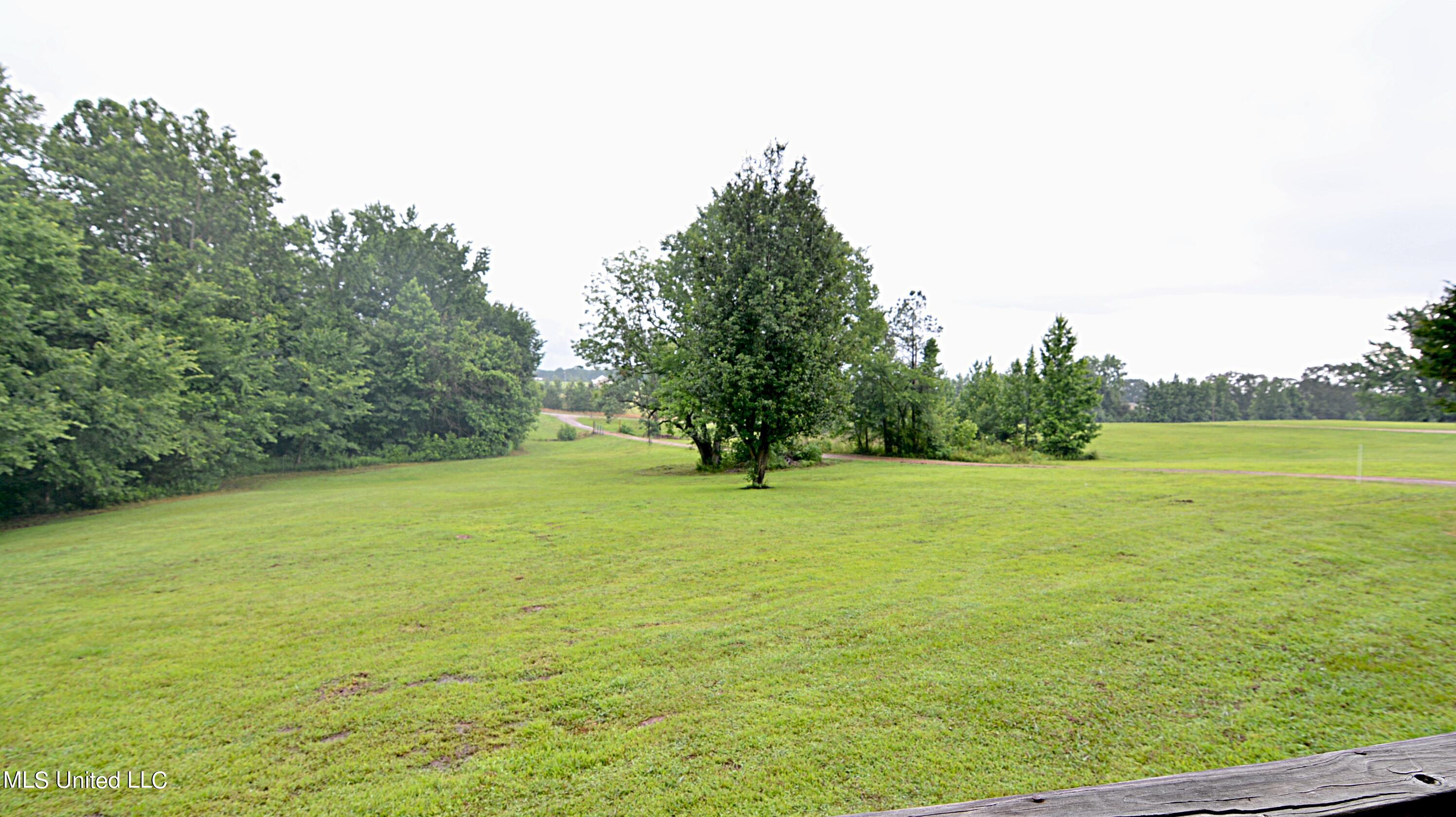 421 Cherry Tree Lane