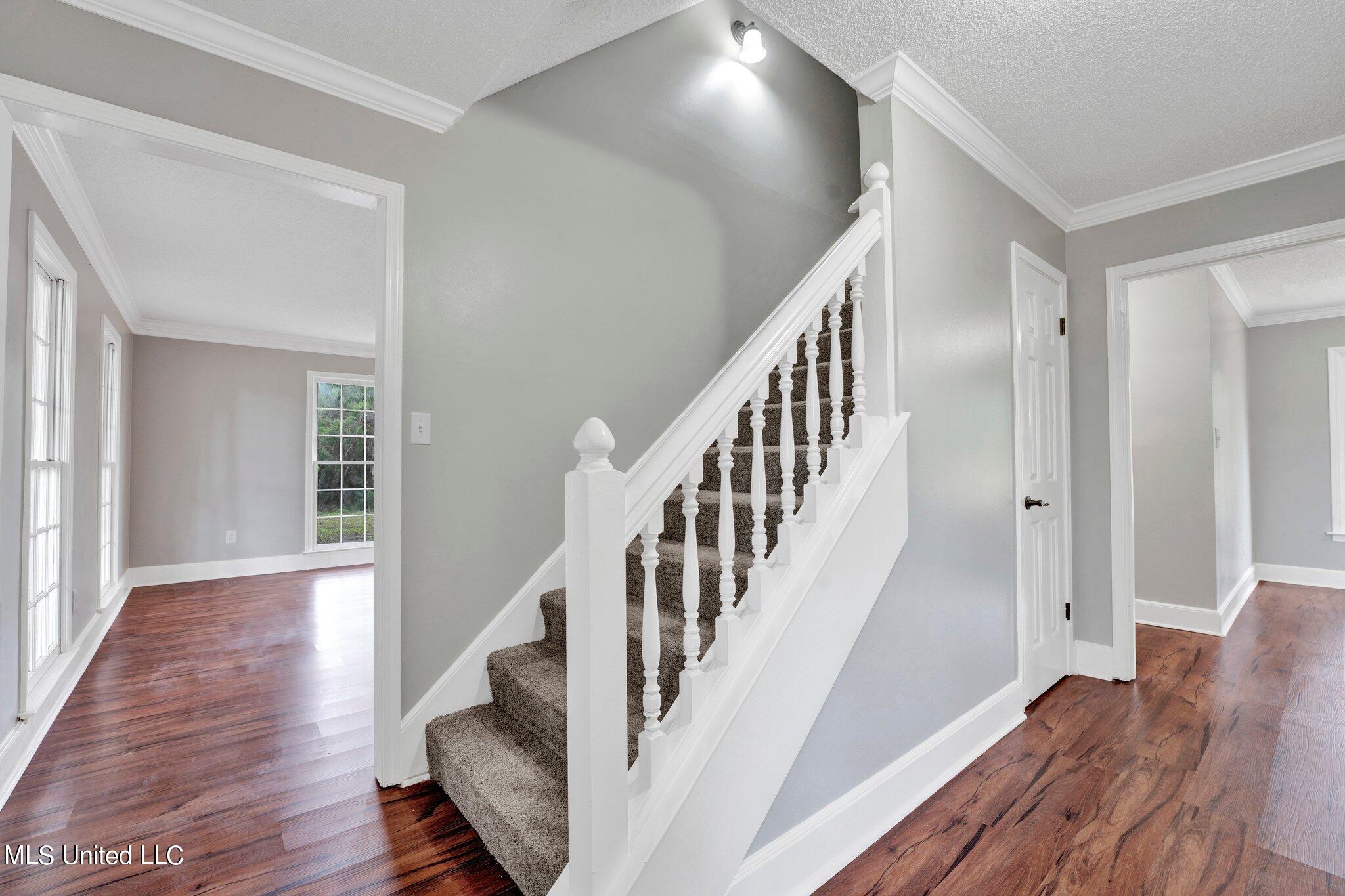 8195 Hunters Hill Cv Cove