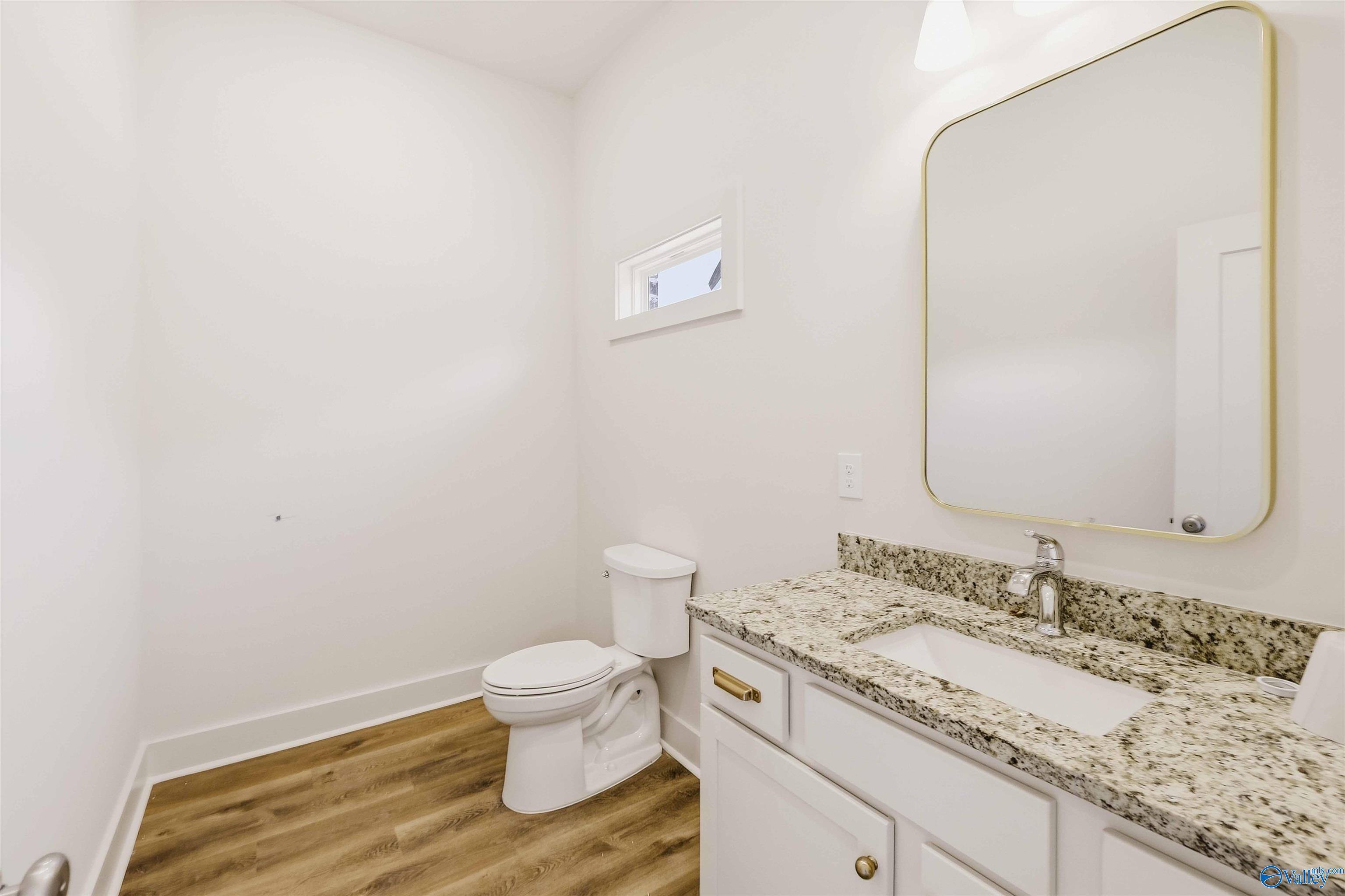 Bathroom with a white vanity, speckled granite countertop, gold-framed mirror, and wood-look floor.
