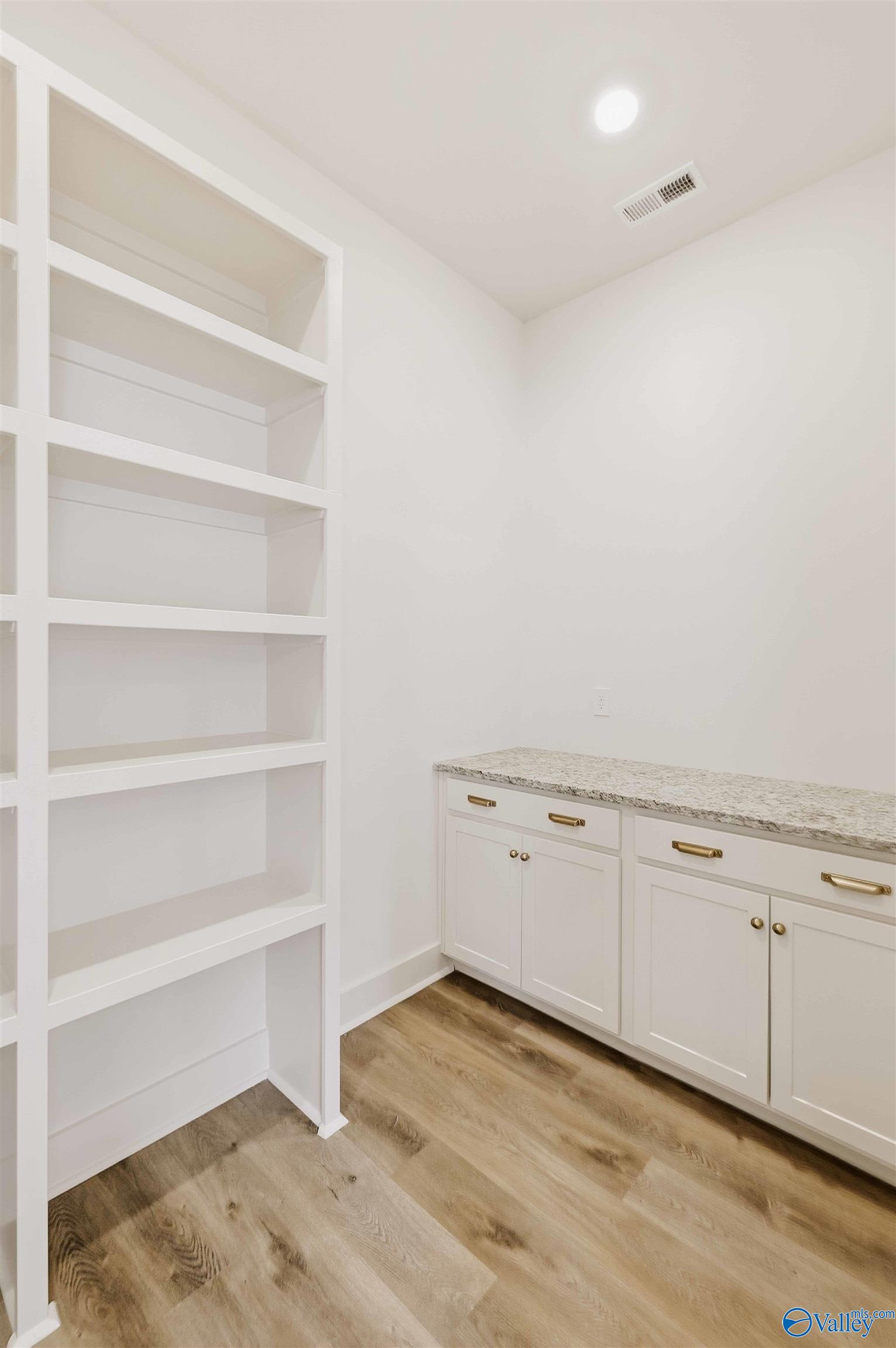 Pantry with built-in white shelving, brass cabinet hardware, and a stone countertop.