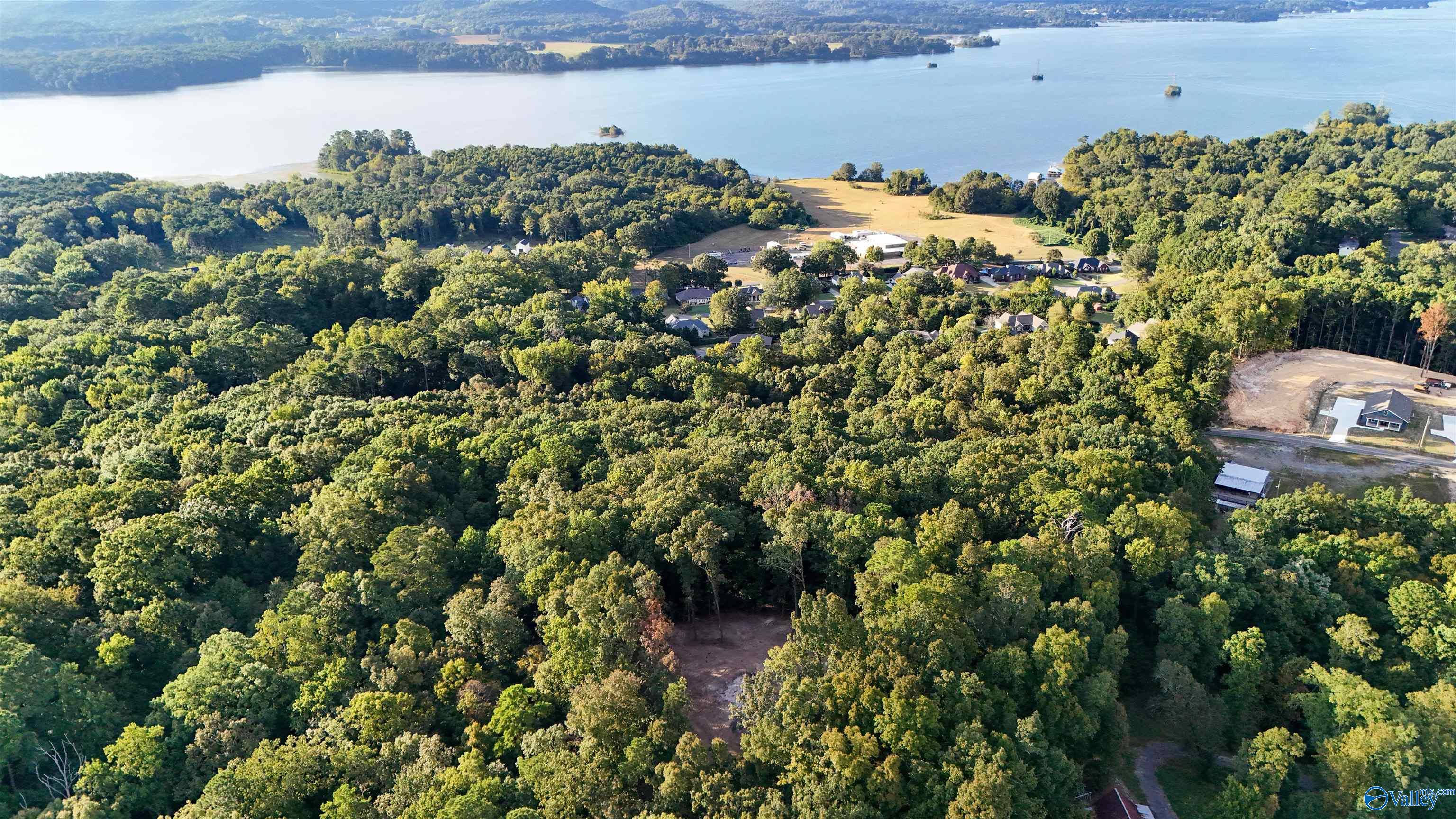 Aerial view of wooded homes beside a lake, with forested shoreline and open clearings.