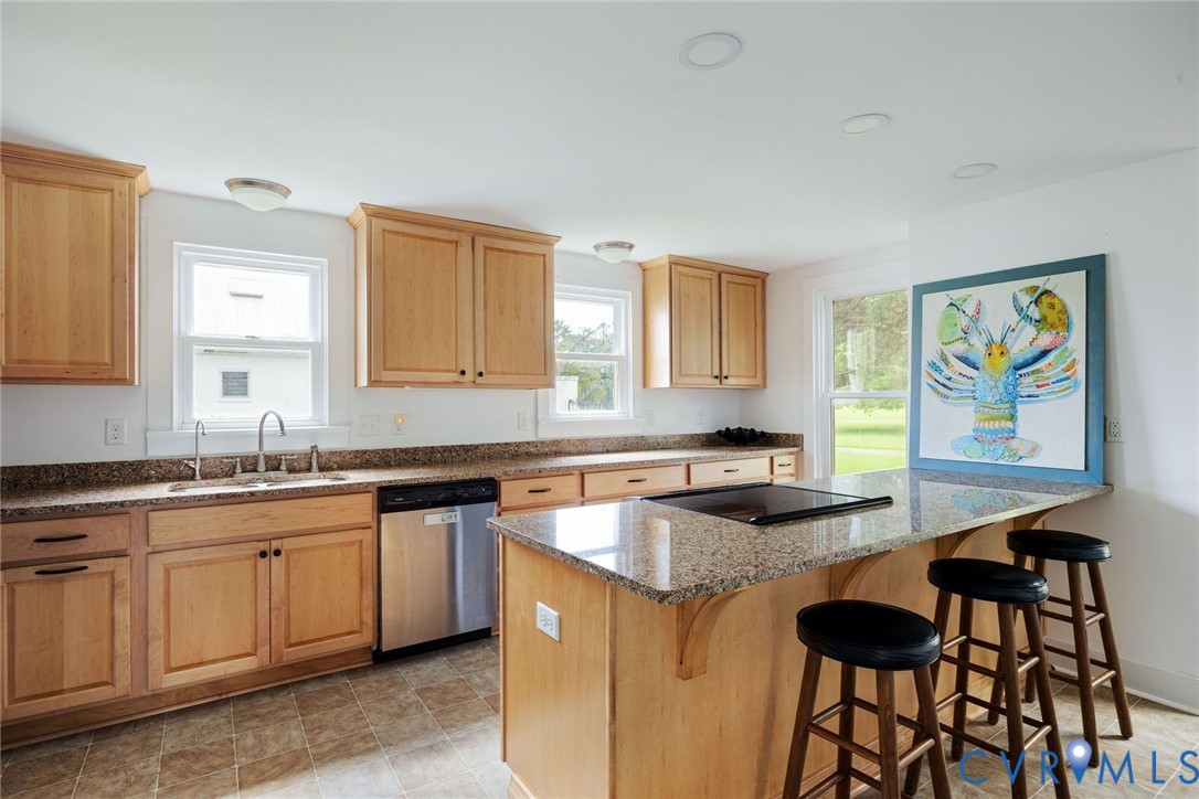 501 Aldendale Ln