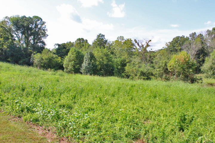 98 Spring View Drive