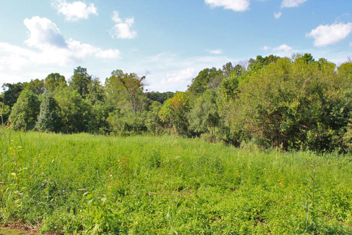 98 Spring View Drive