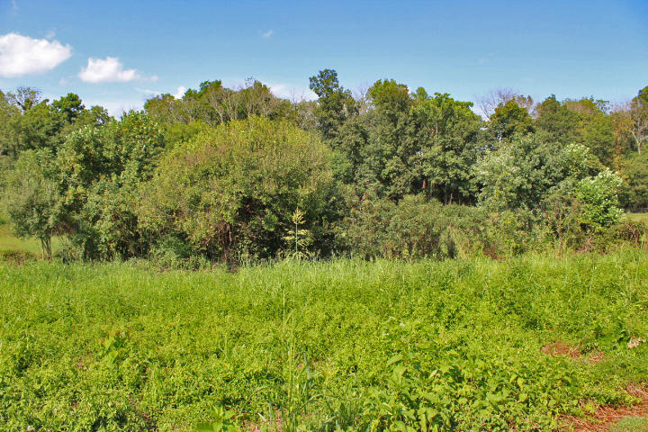 98 Spring View Drive