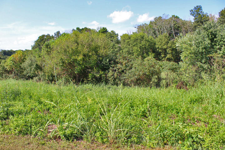 98 Spring View Drive