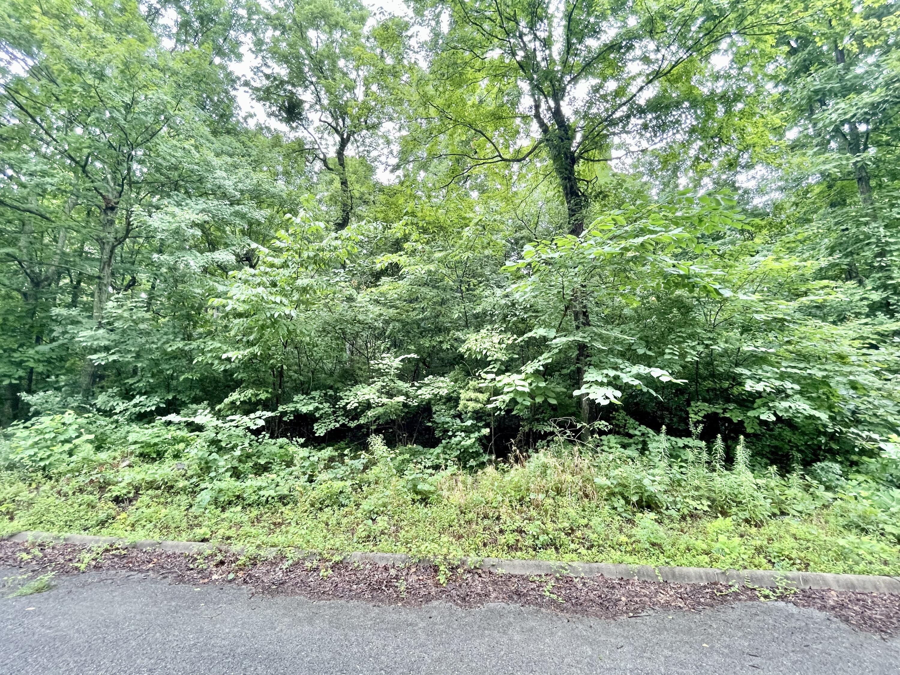 Lot 72 Andover Drive