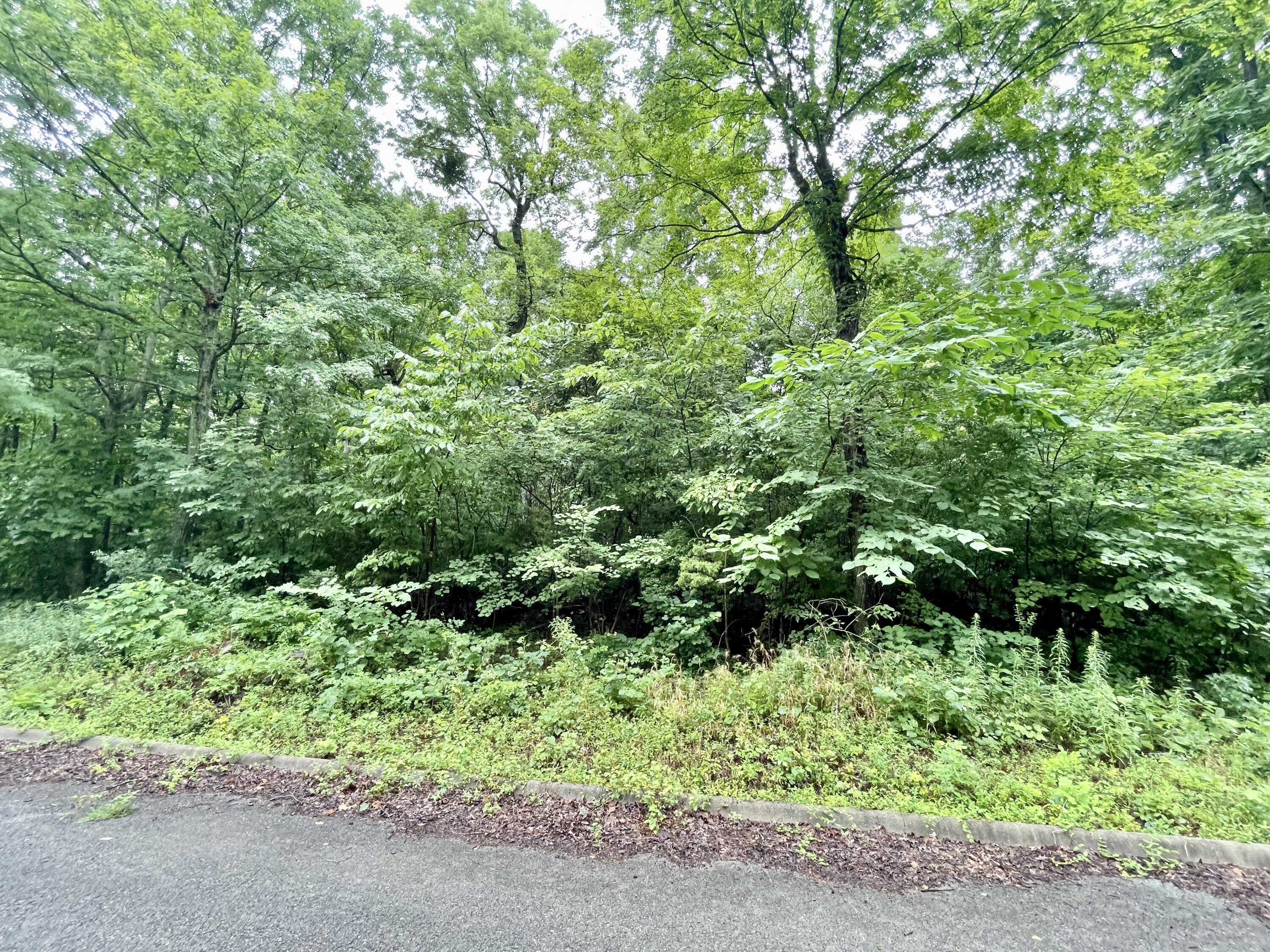 Lot 72 Andover Drive