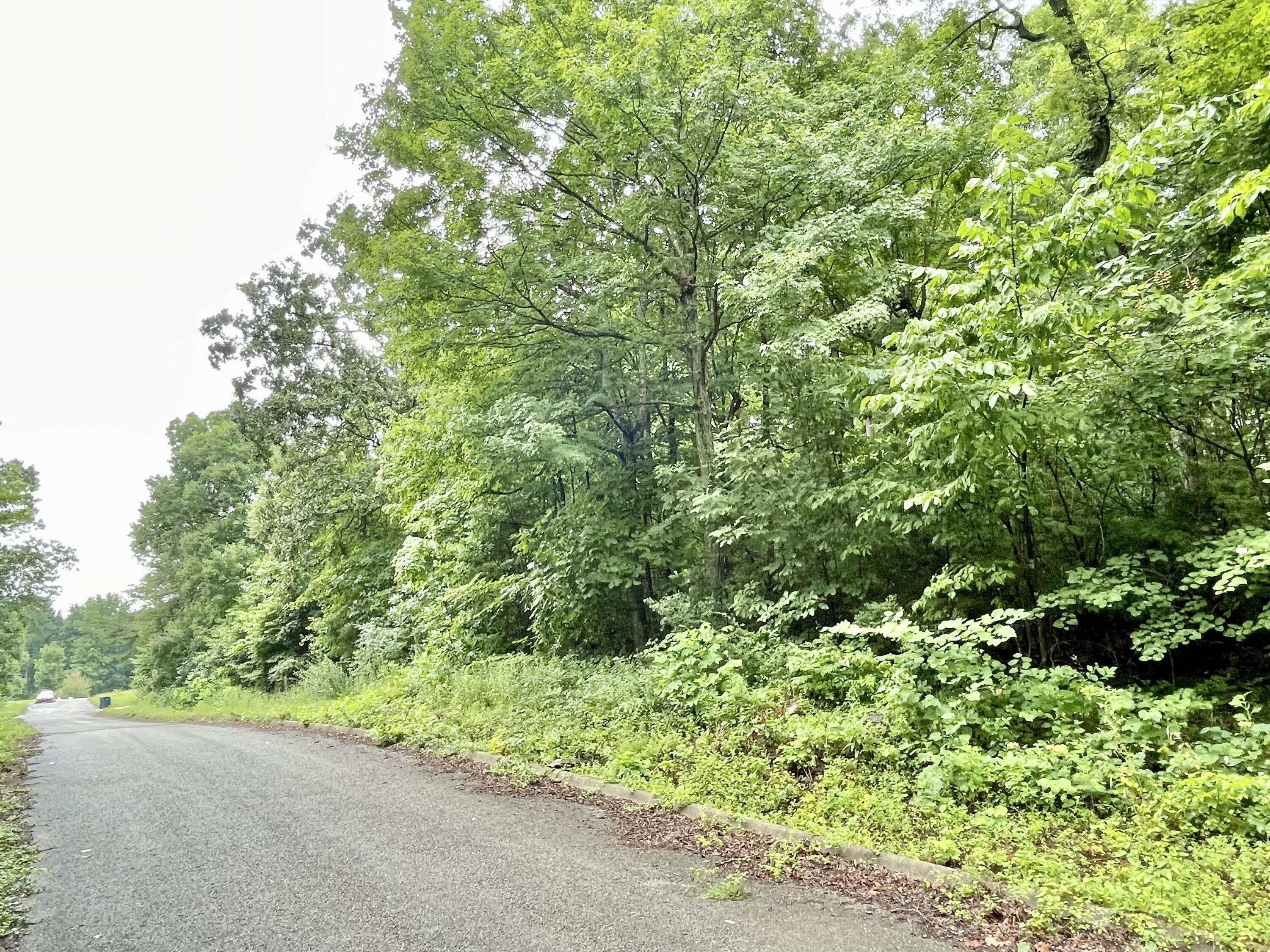 Lot 72 Andover Drive