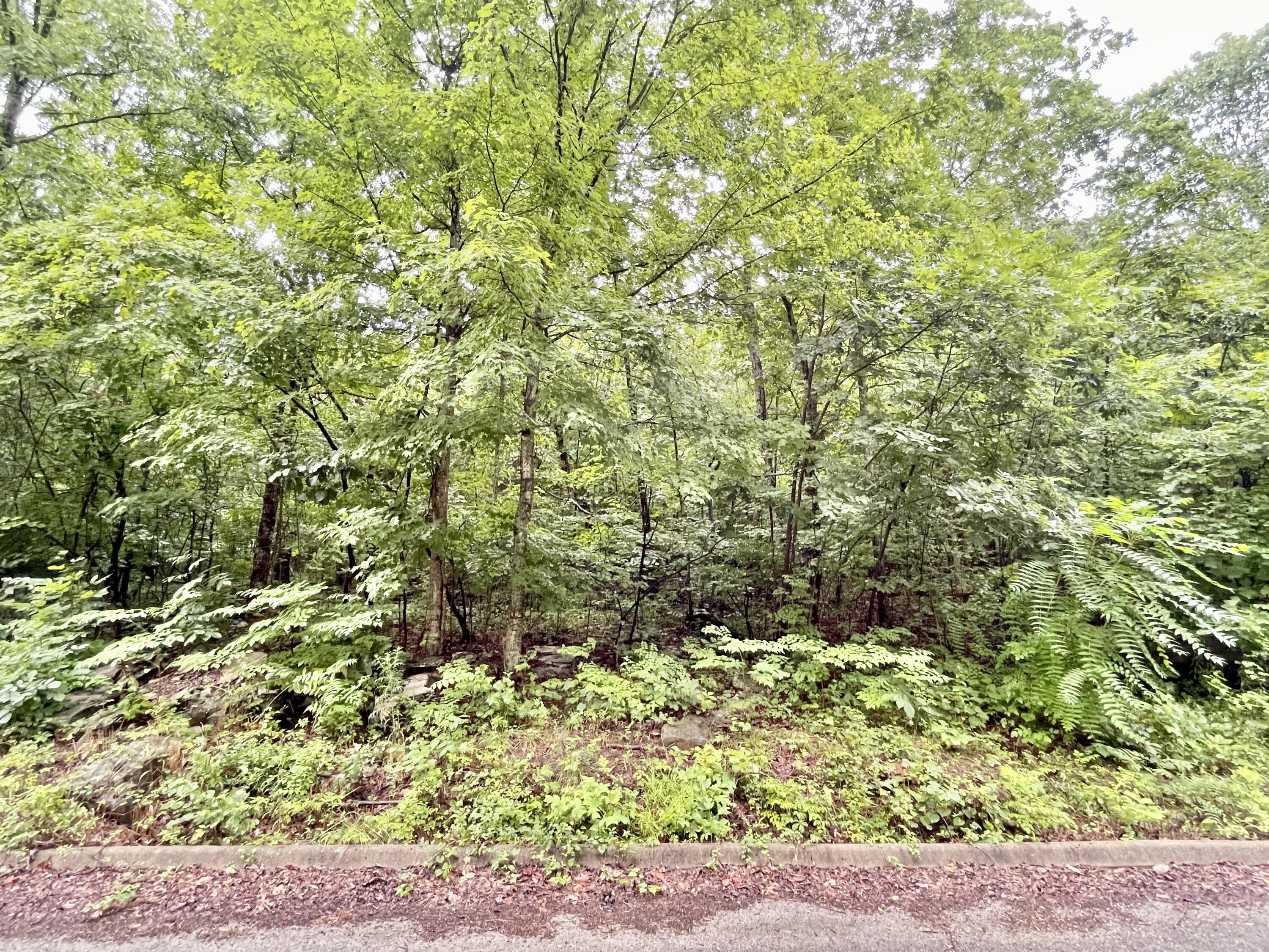 Lot 73 Andover Drive