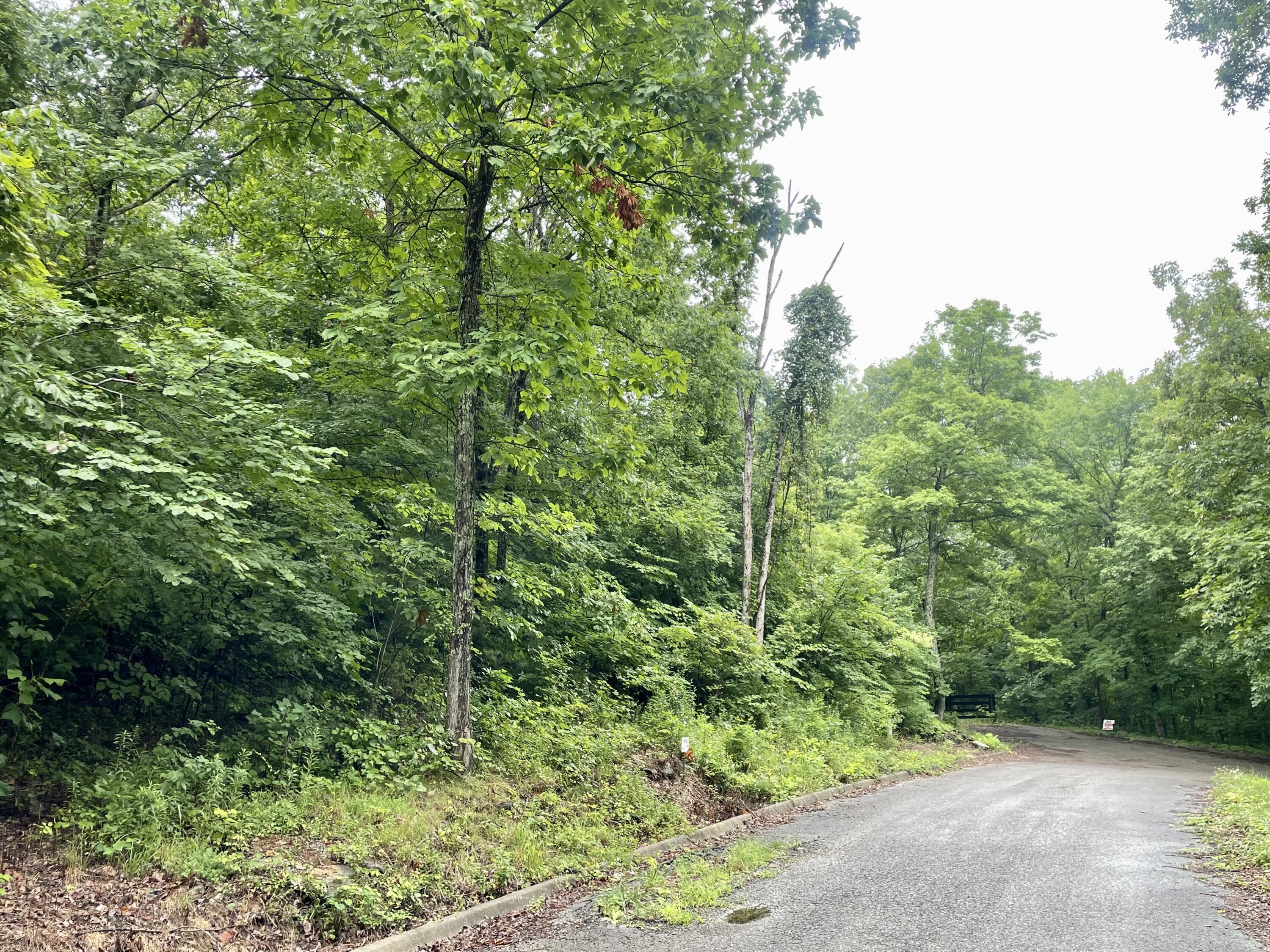 Lot 74 Andover Drive