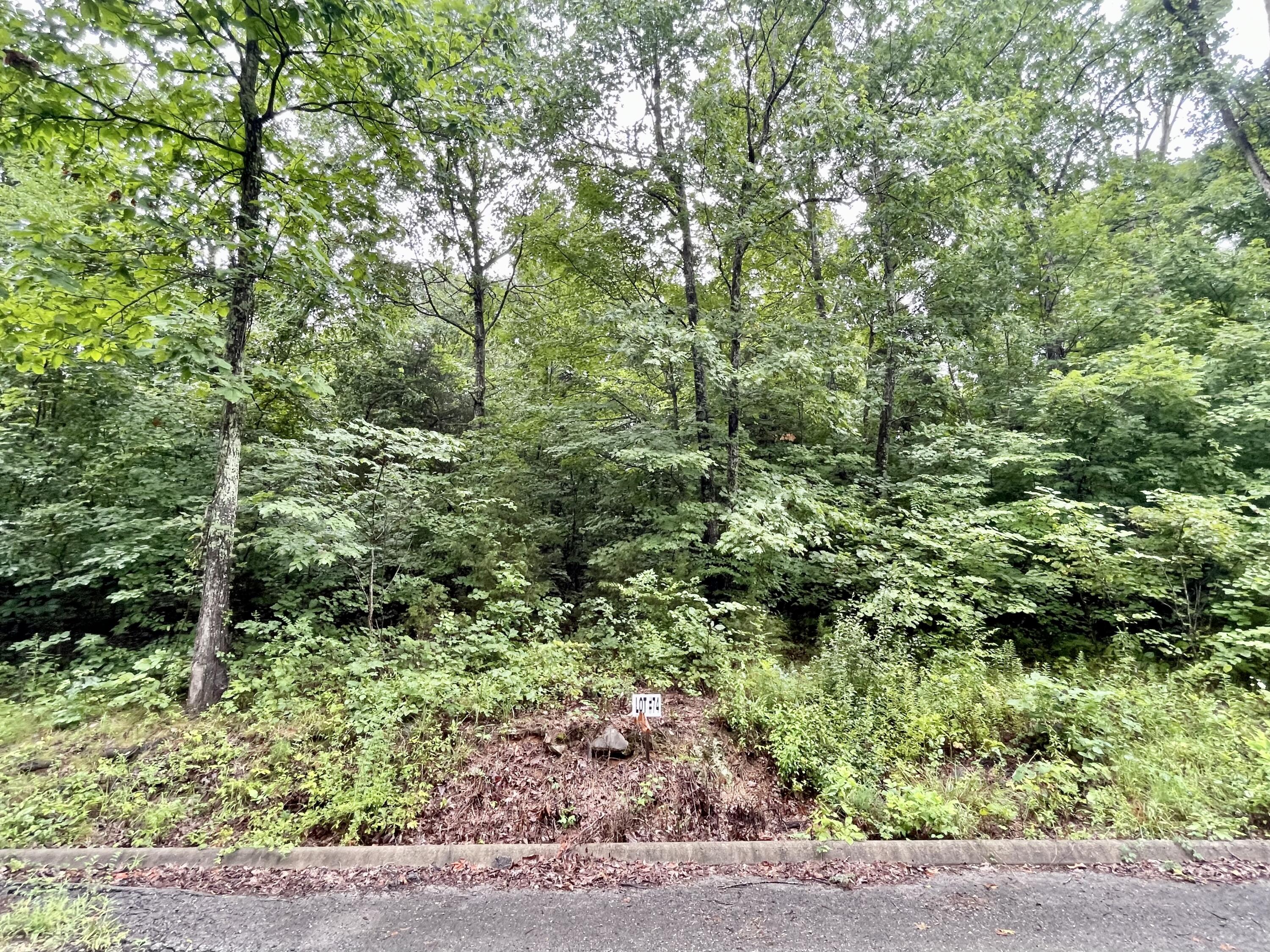 Lot 74 Andover Drive