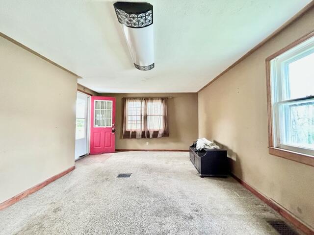 513 Haley Street
