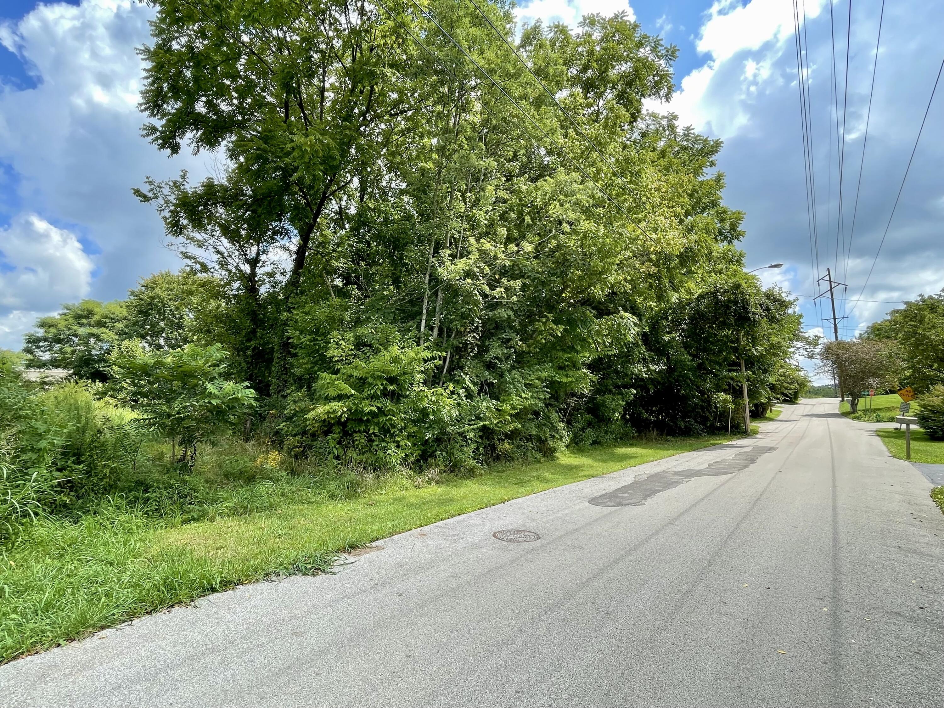 1313 East Mt Vernon St tract 1 & 2