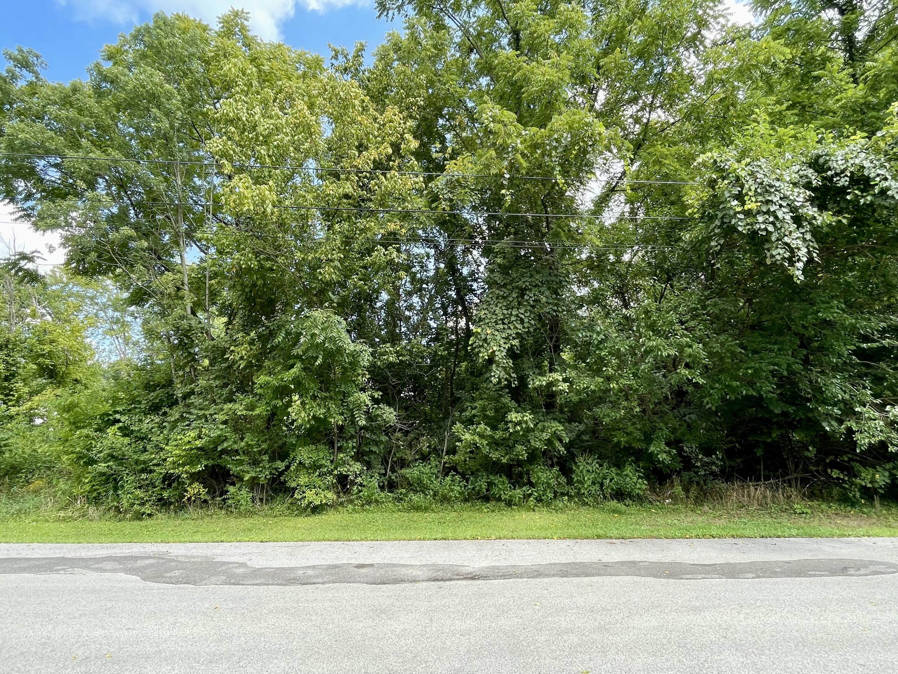 1313 East Mt Vernon St tract 1 & 2