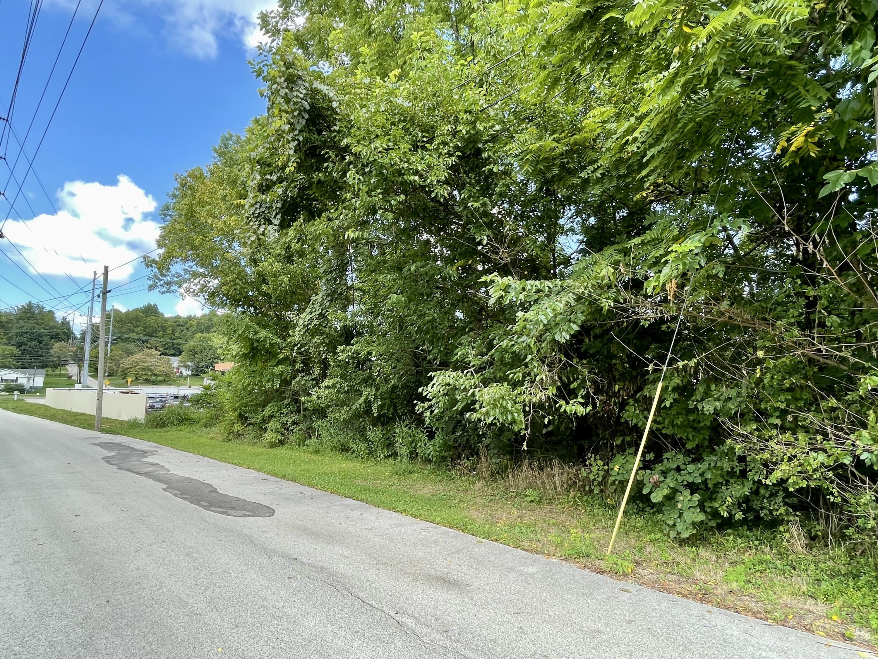 1313 East Mt Vernon St tract 1 & 2