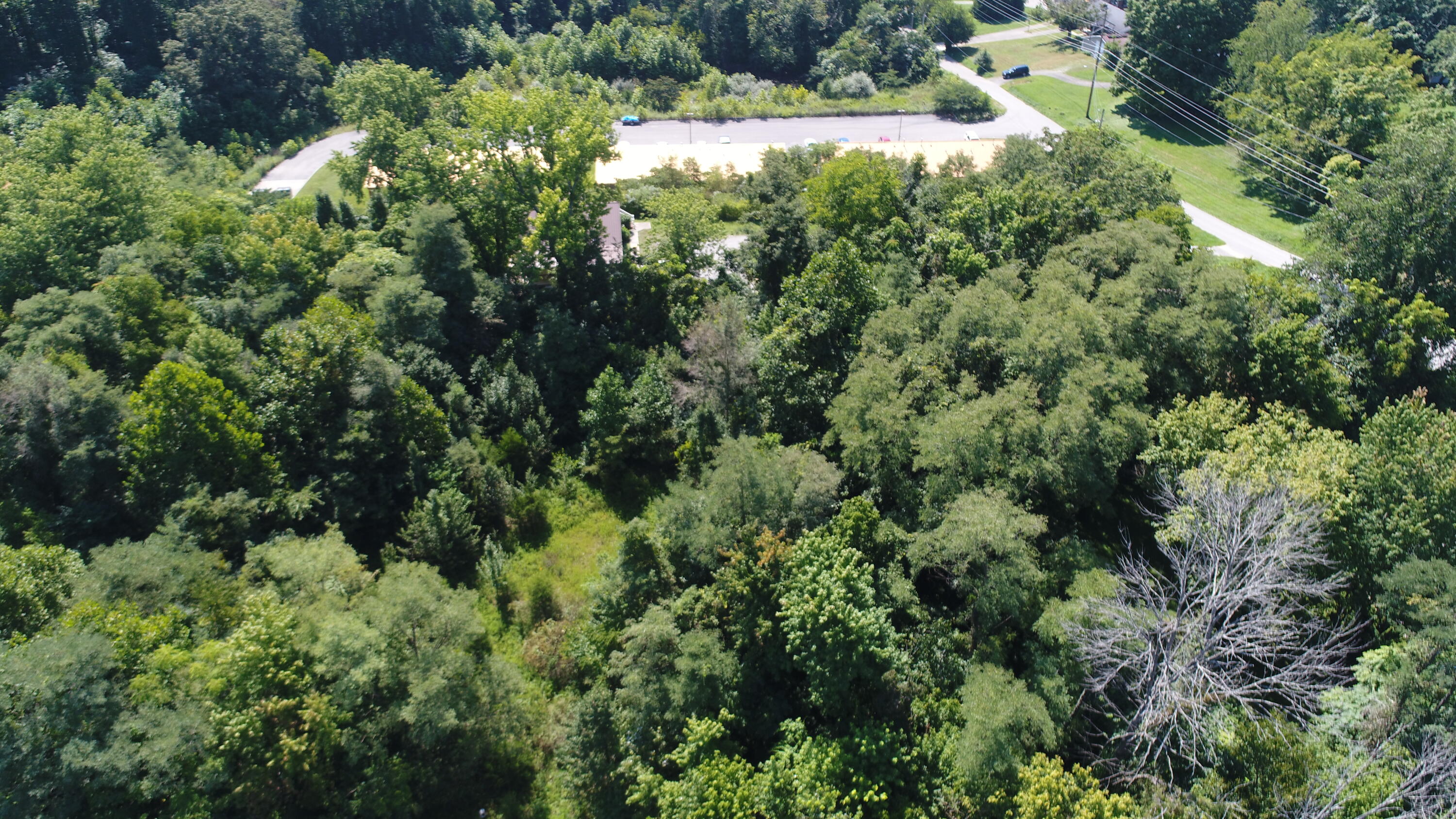 1313 East Mt Vernon St tract 1 & 2