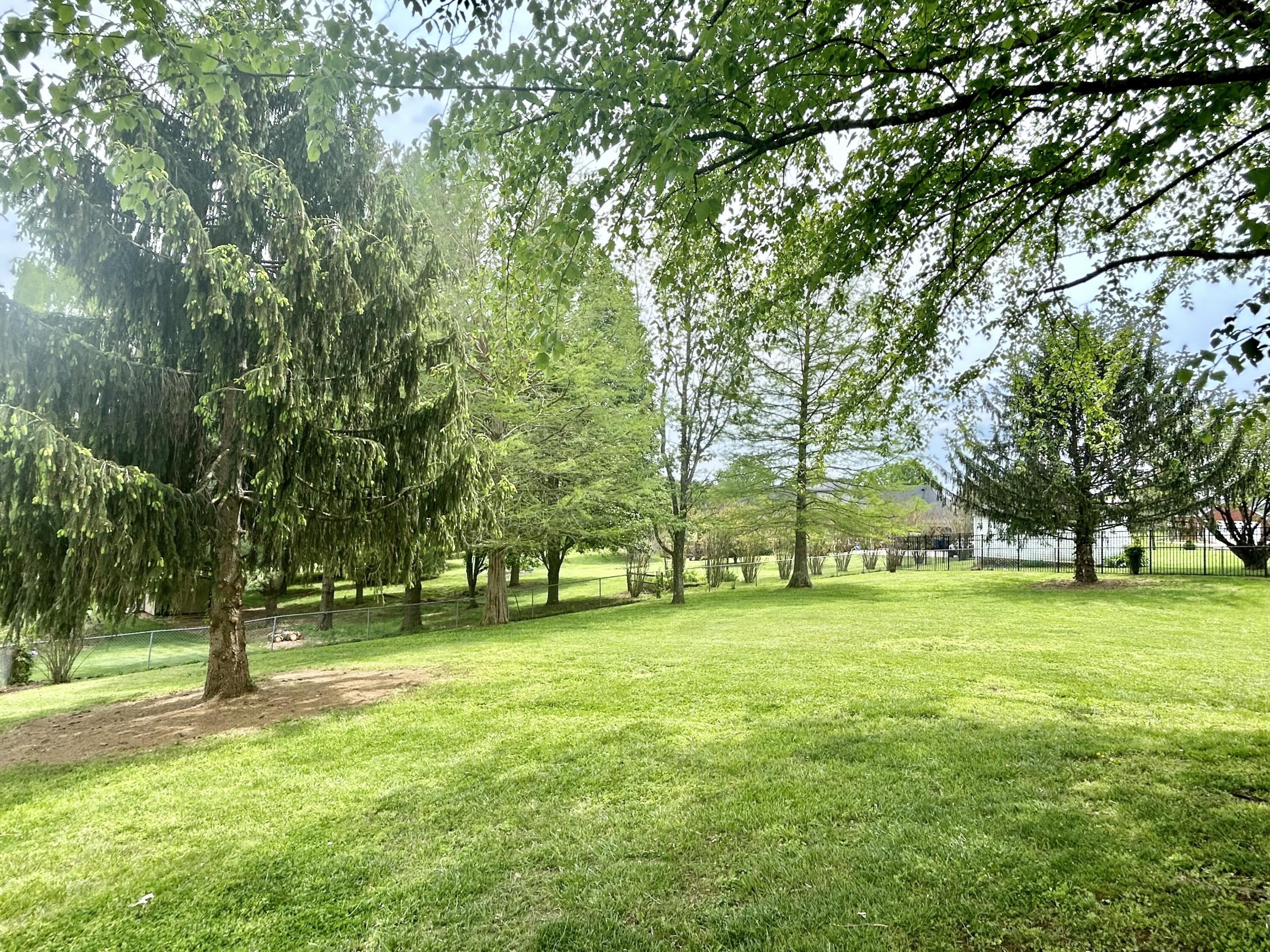 98 Wedgewood Drive