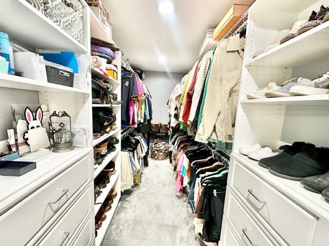 505 Wondering Woods Drive