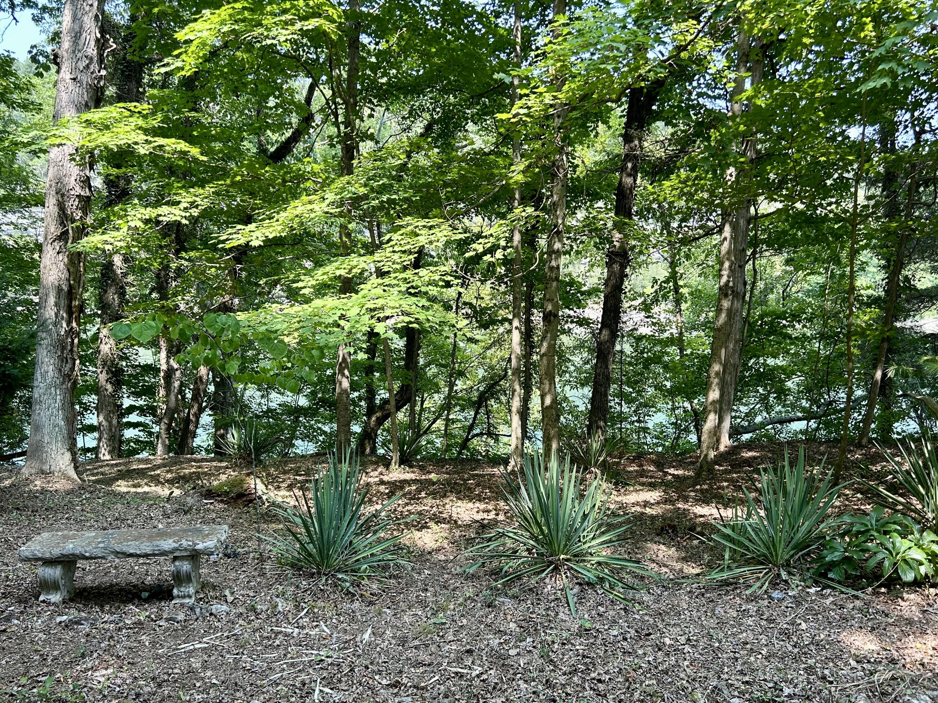 1071 Cordell Drive