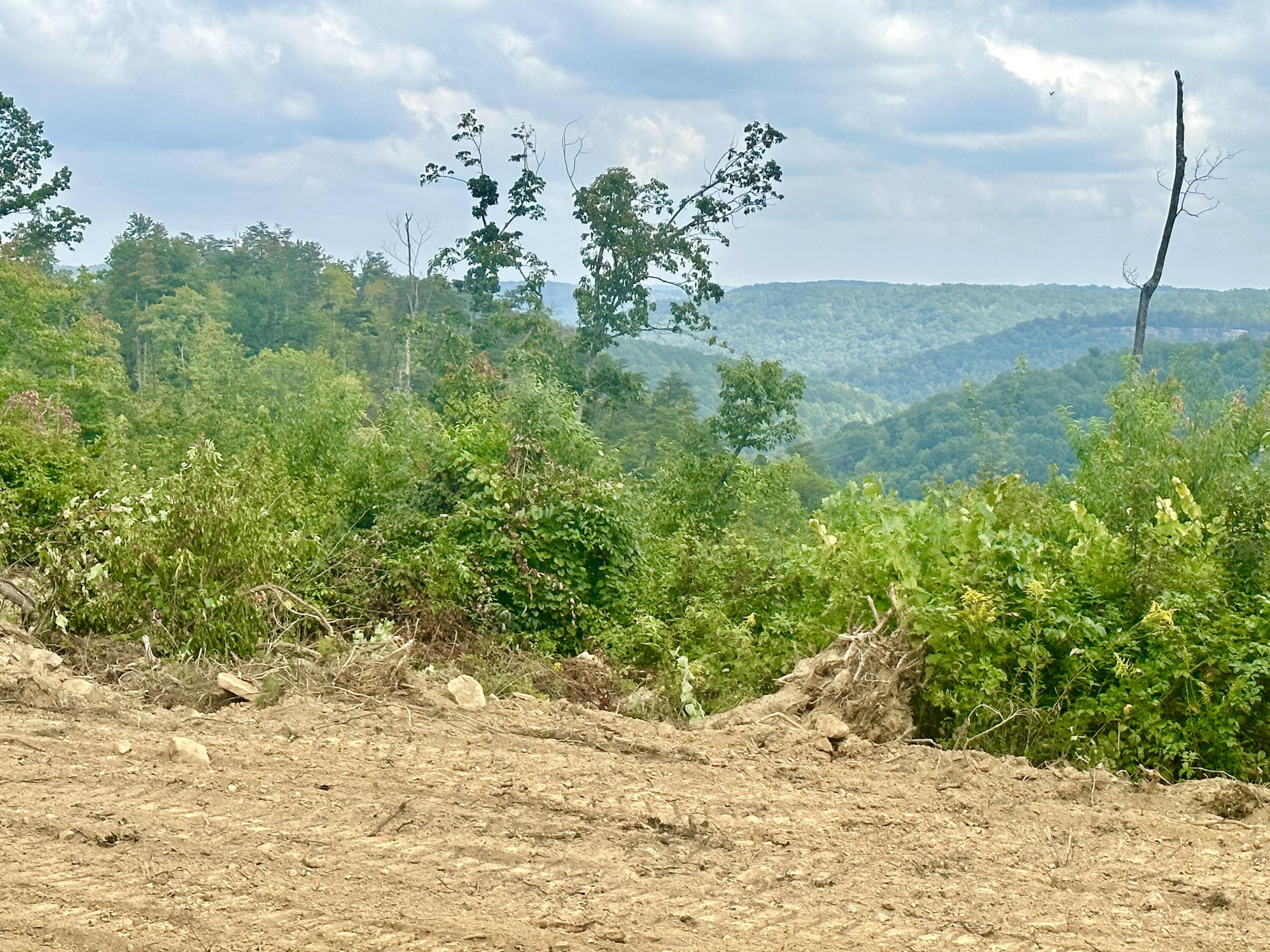 721 Parcel A Skull Bone Tower Road