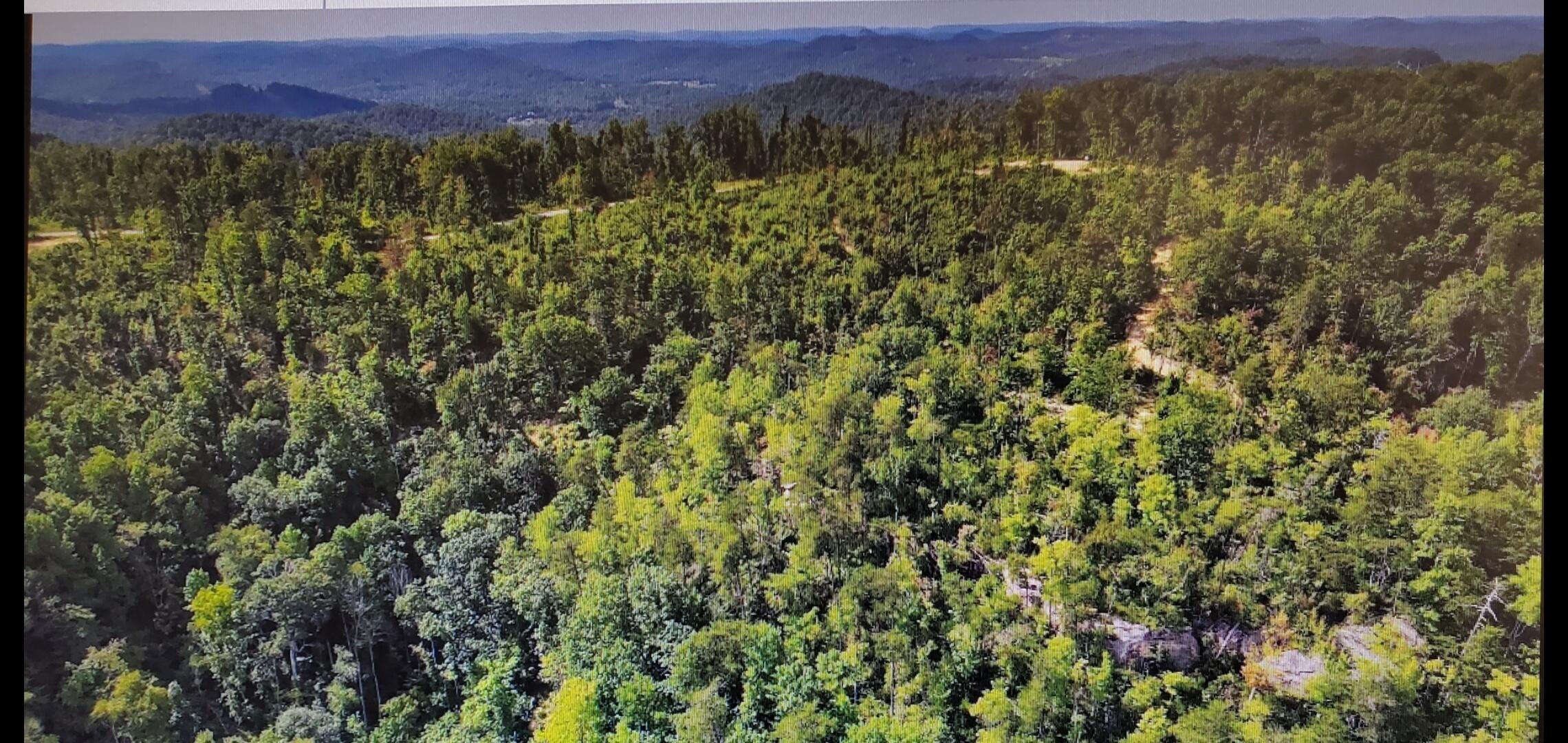 721 Parcel A Skull Bone Tower Road