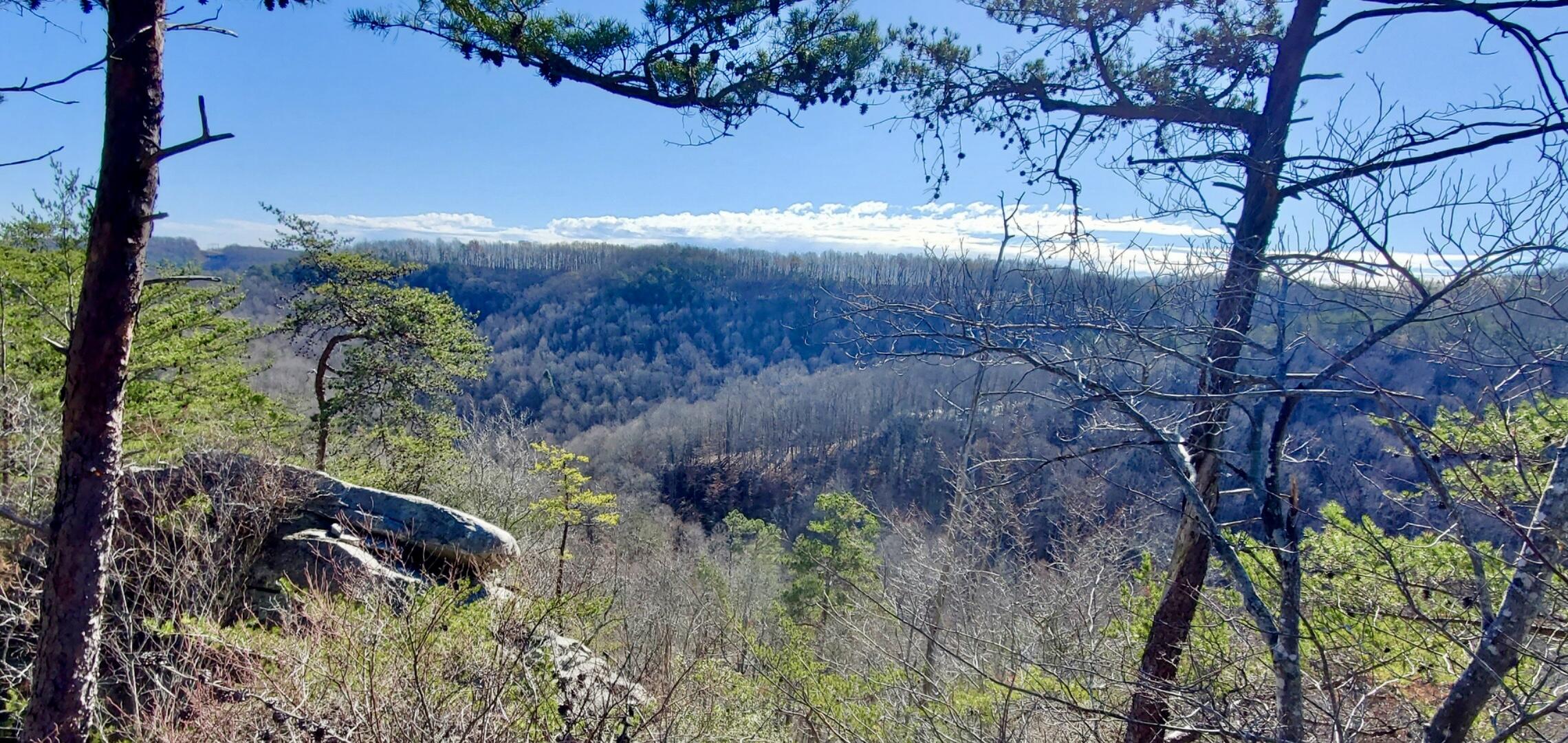 721 Parcel A Skull Bone Tower Road