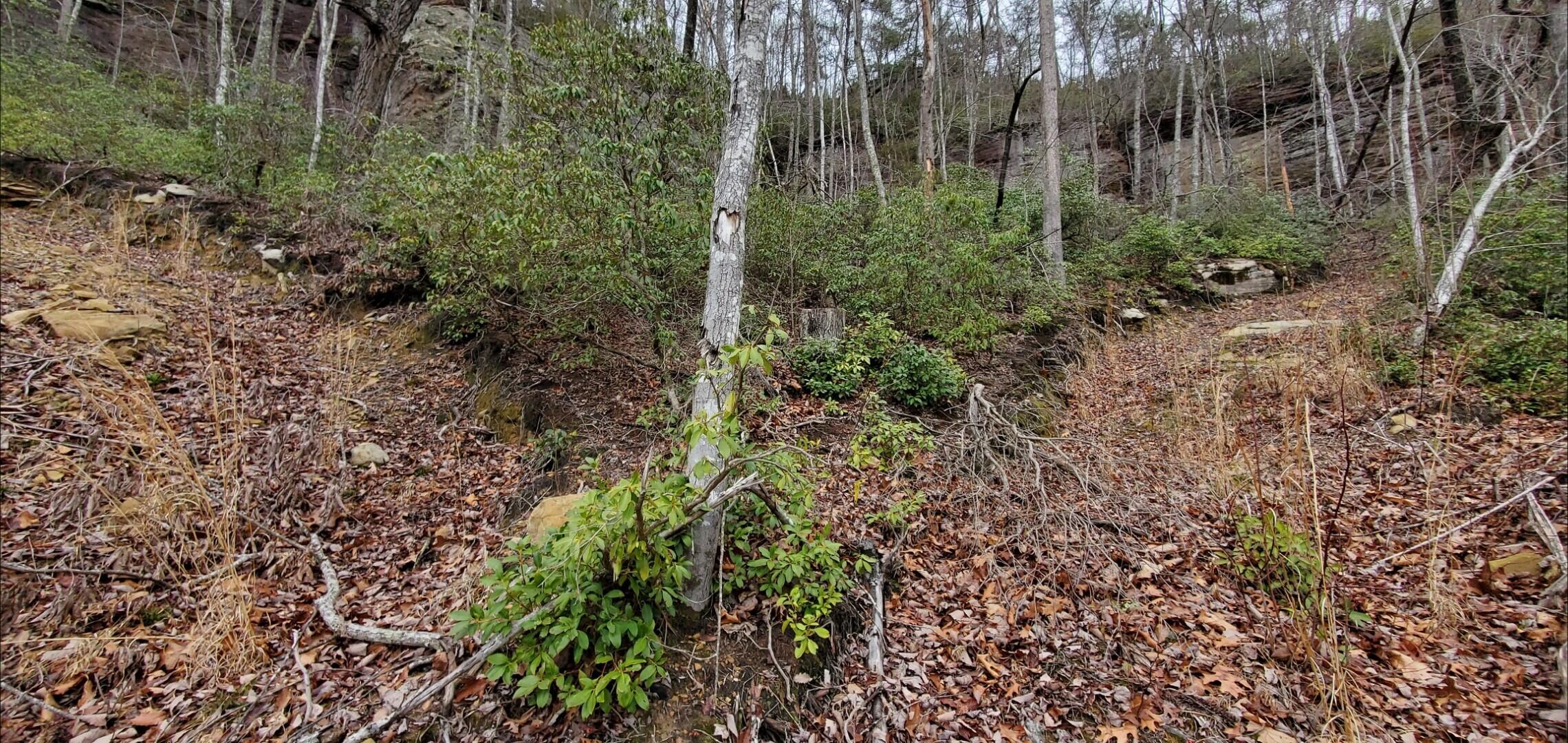 721 Tract 10 Skull Bone Tower Road