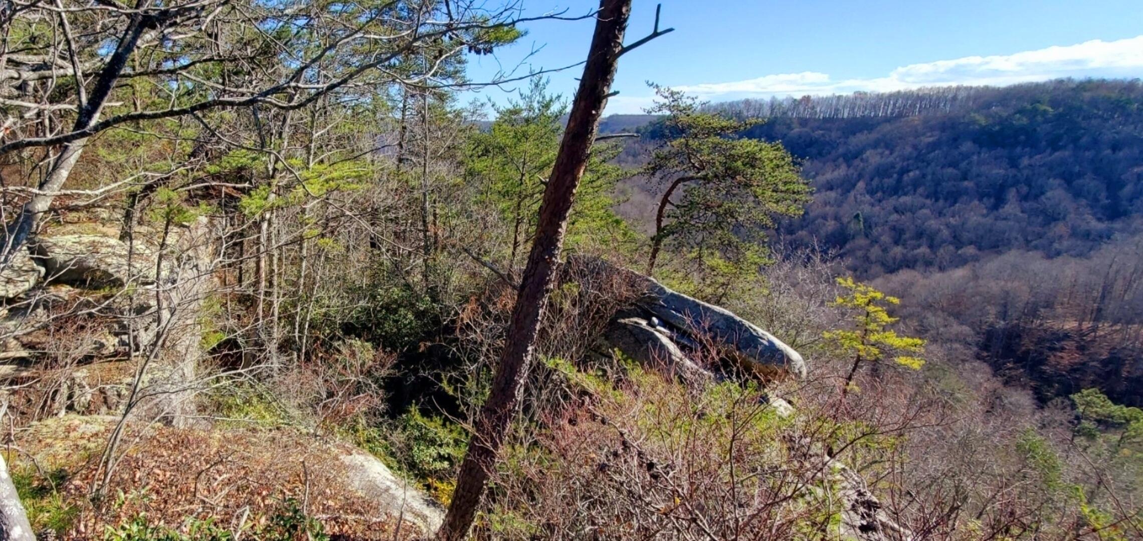 721 Tract 10 Skull Bone Tower Road